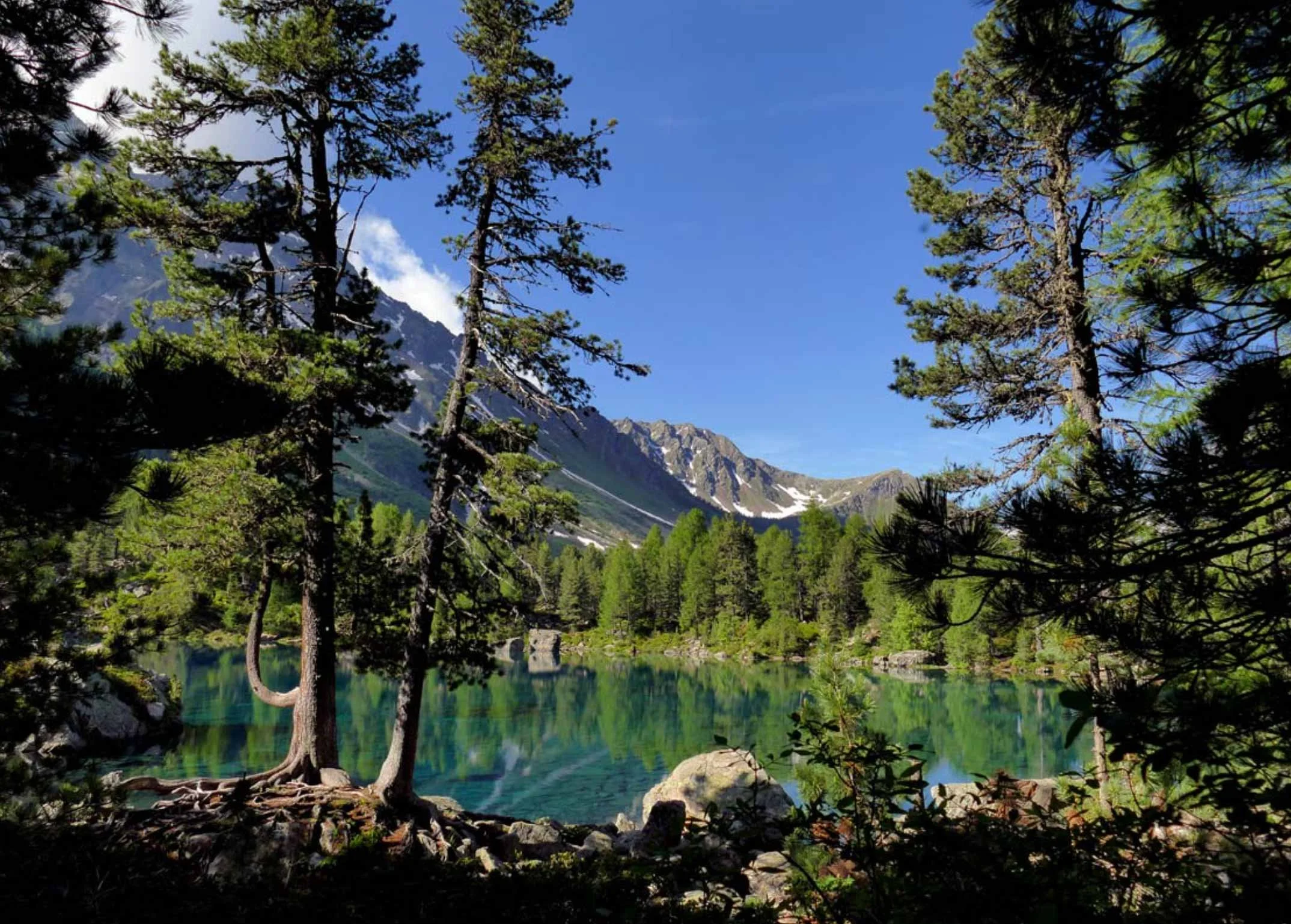 Impression eines klaren Bergsees, umgeben von Nadelbäumen, mit sichtbaren Bergen im Hintergrund unter blauem Himmel.