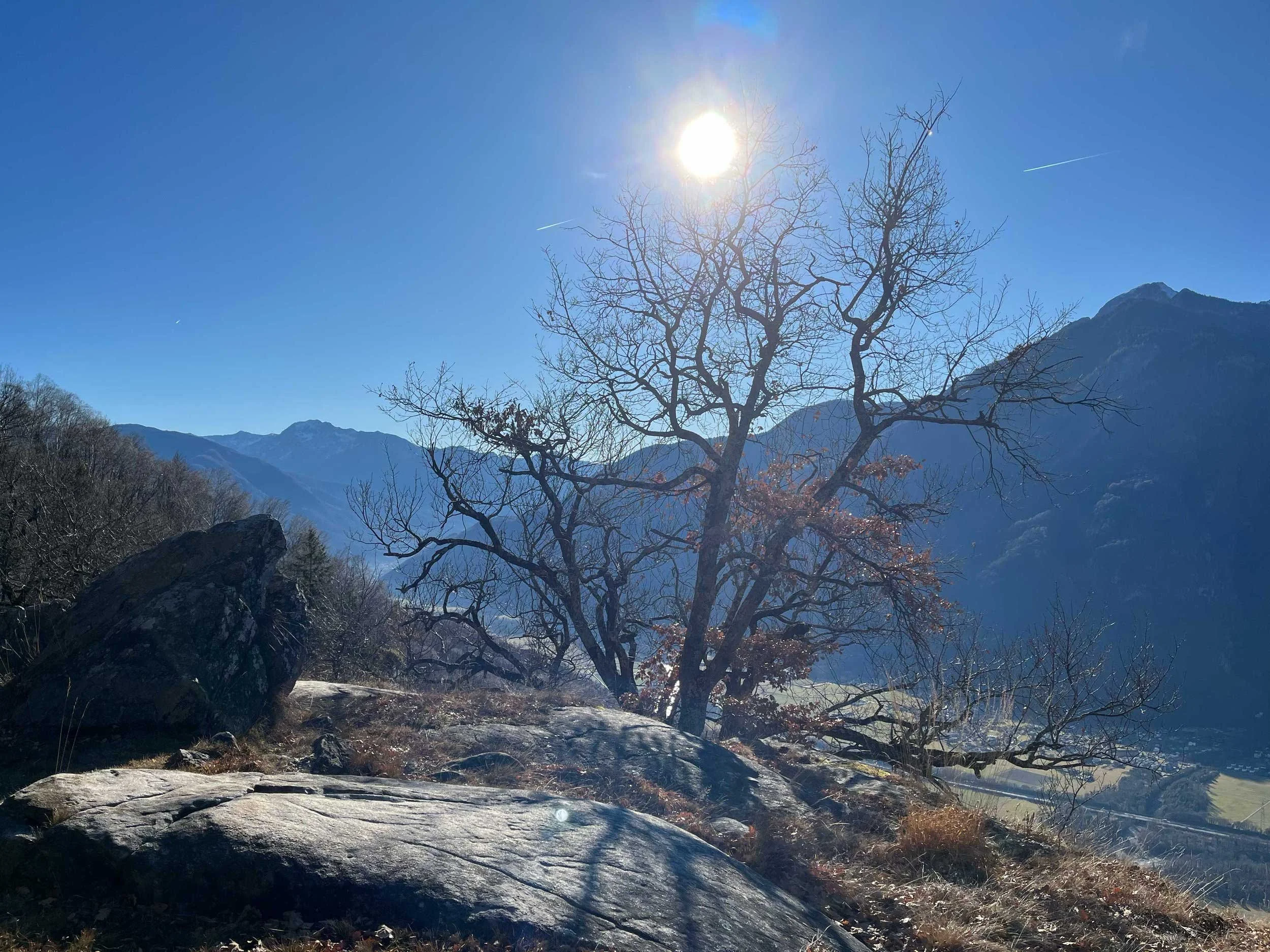 Berge mit bewaldeter Hänge und klarer blauer Himmel, Sonne scheint, im Vordergrund große Felsen, Blätter an Bäumen sind Herbstfarben.