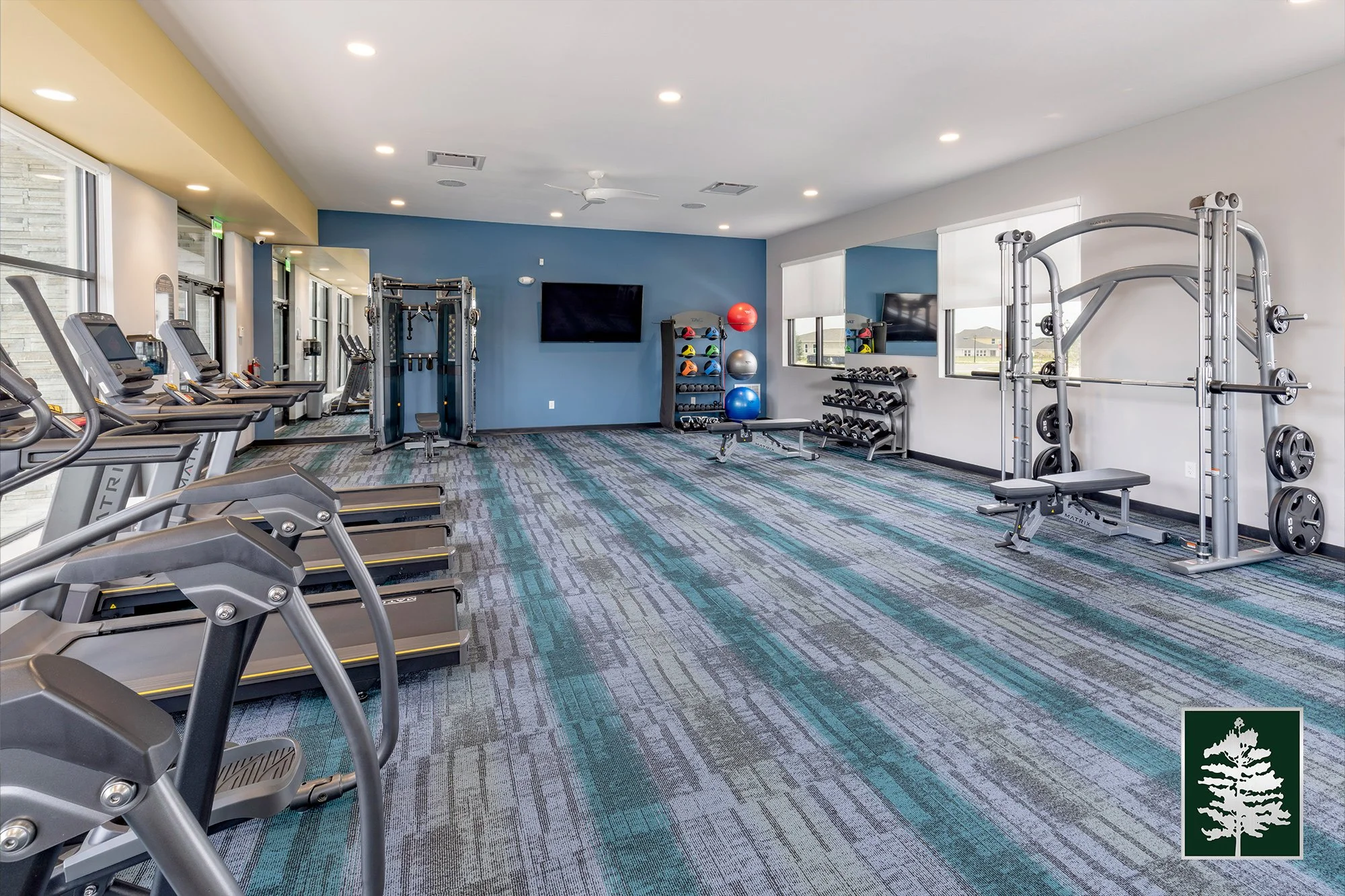 A modern fitness room with treadmills on the left, a blue accent wall with a mounted TV, and various exercise equipment including weights, stability balls, and a cable machine.