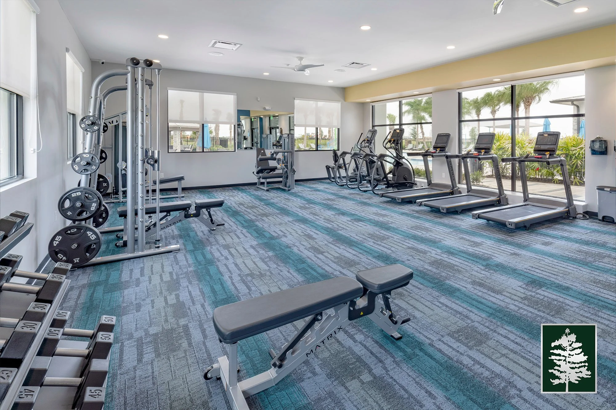 Fitness room with cardio machines including treadmills, ellipticals, weight bench, free weights, and mirrors, with large windows showing palm trees outside.