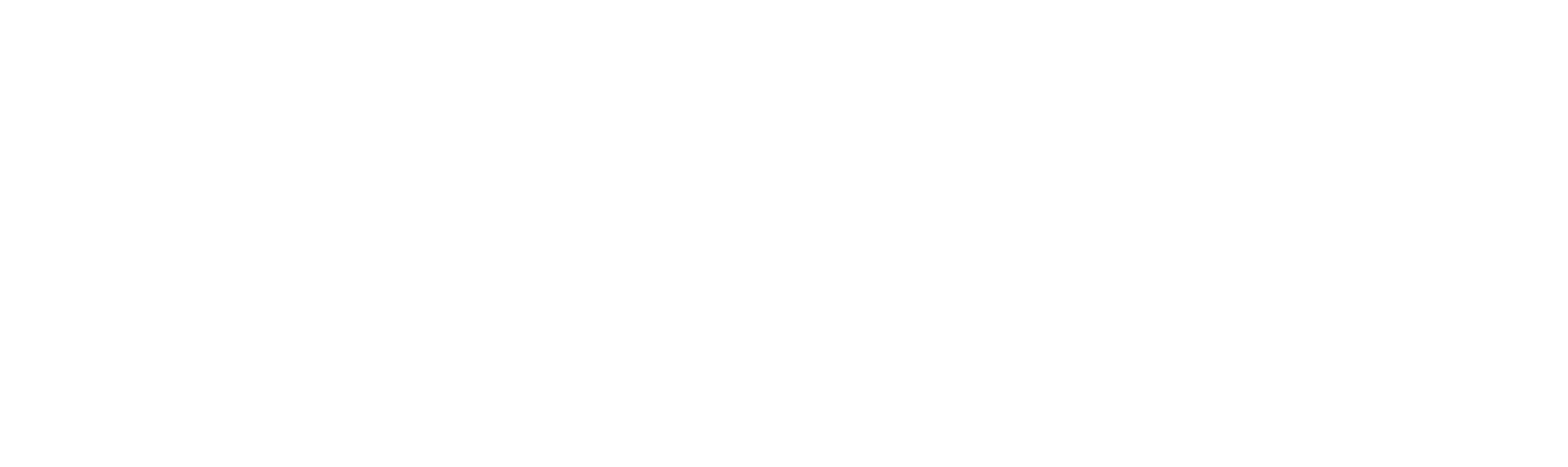 logo BOLD white