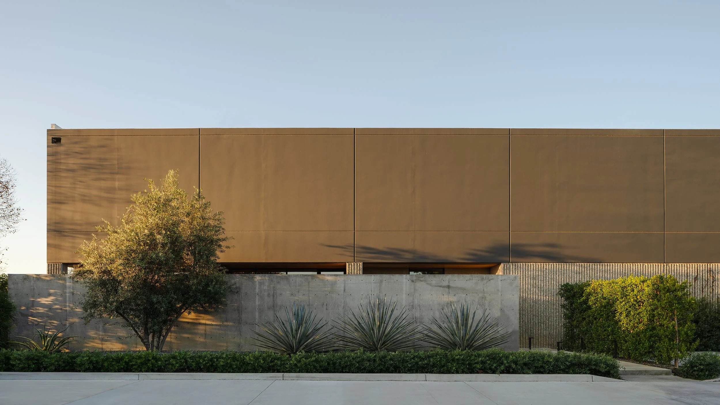 HAMA Chestnut Front 1.jpg