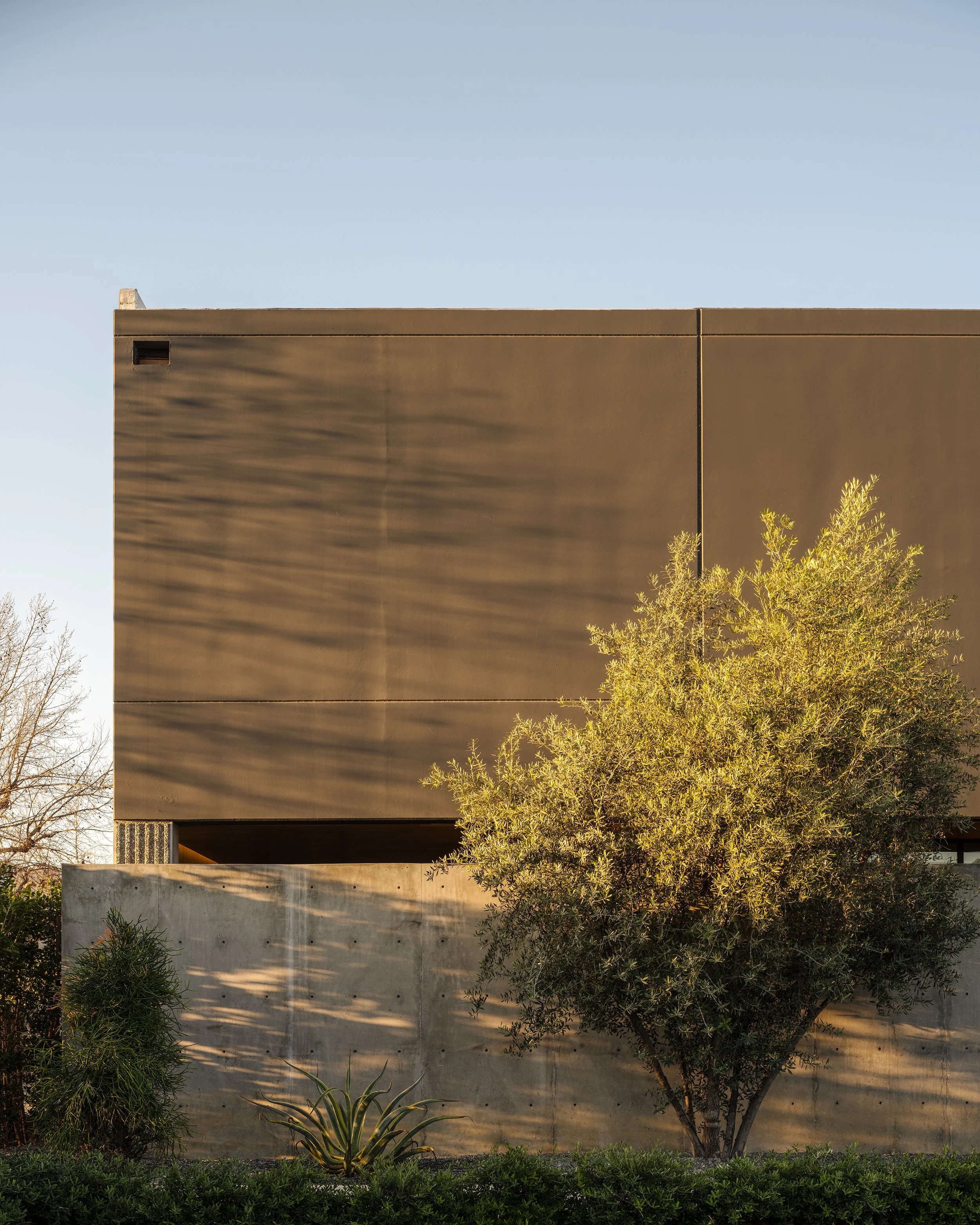 HAMA Chestnut Front 2.jpg
