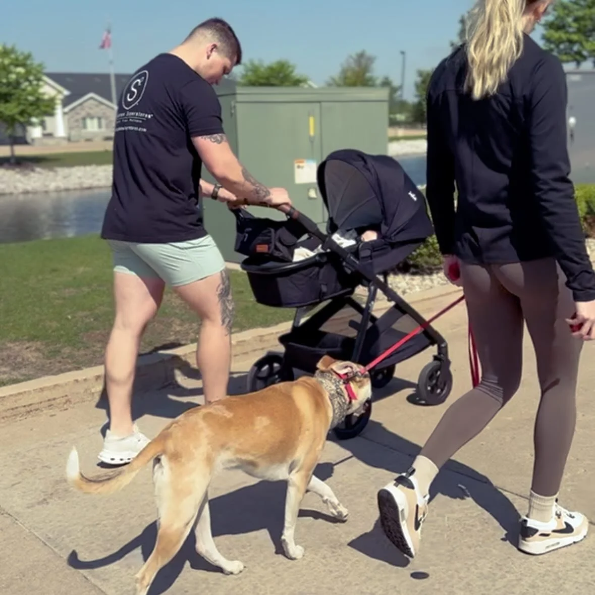 🐕 Is Your Dog Out of Control?

Jumping on guests, ignoring commands, pulling on leash &mdash; we can fix that. Our Lake Geneva Board &amp; Train Program delivers results that last! 

✅ Expert trainers with proven methods
✅ Daily real-world practice 