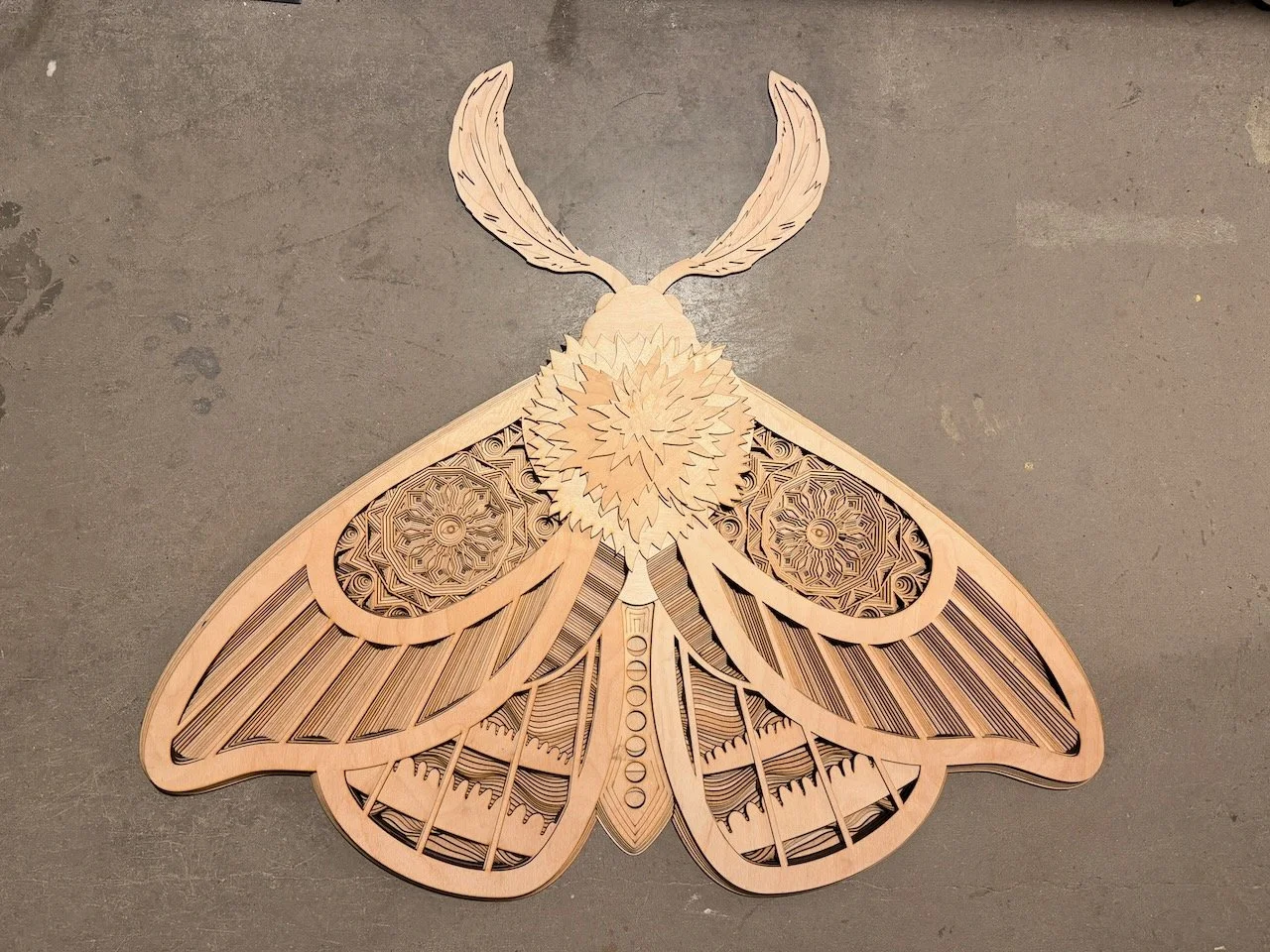 Josh Bean - Moth.jpeg