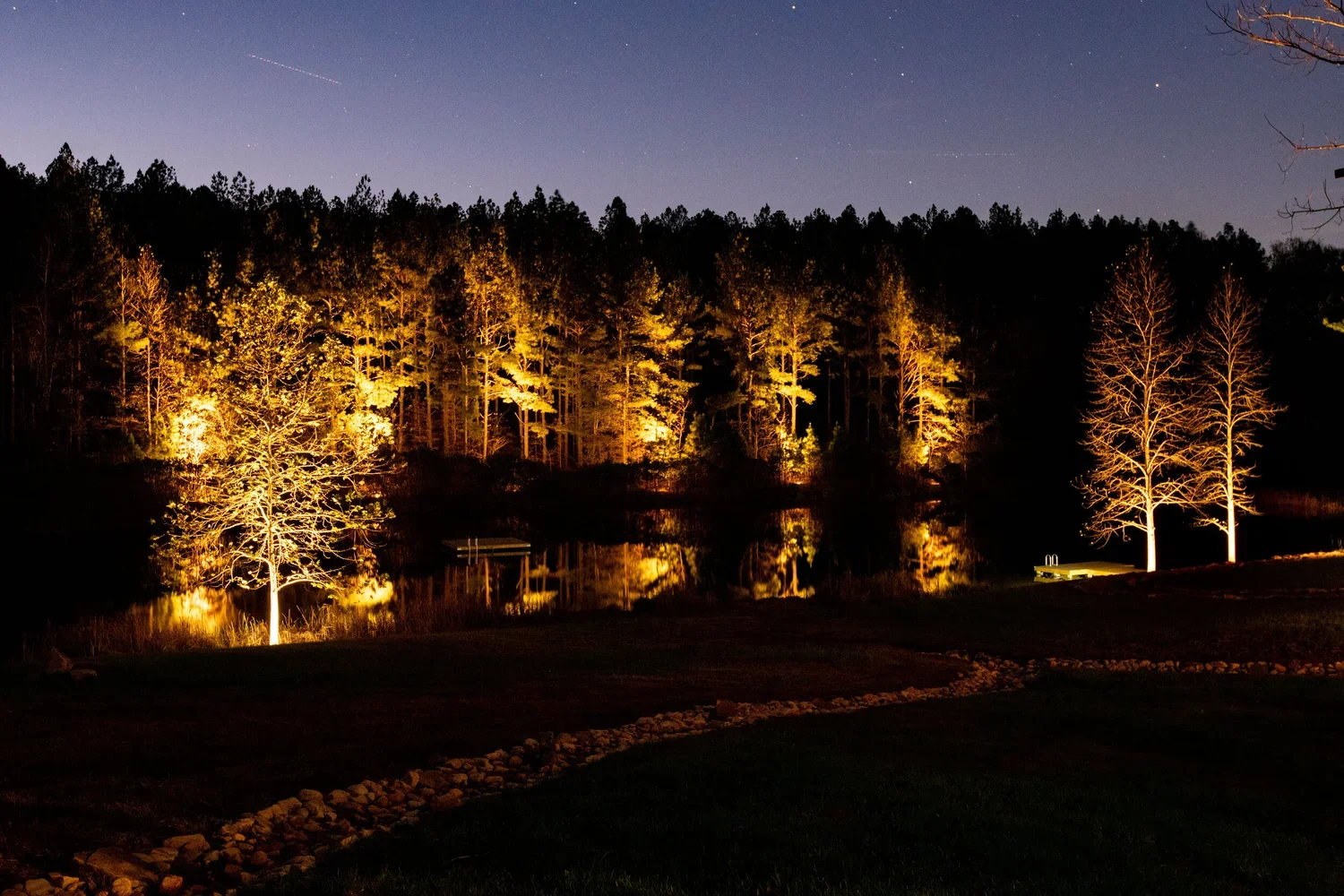 Nighttime scene of a lake with illuminated trees along the shoreline and a starry sky above.