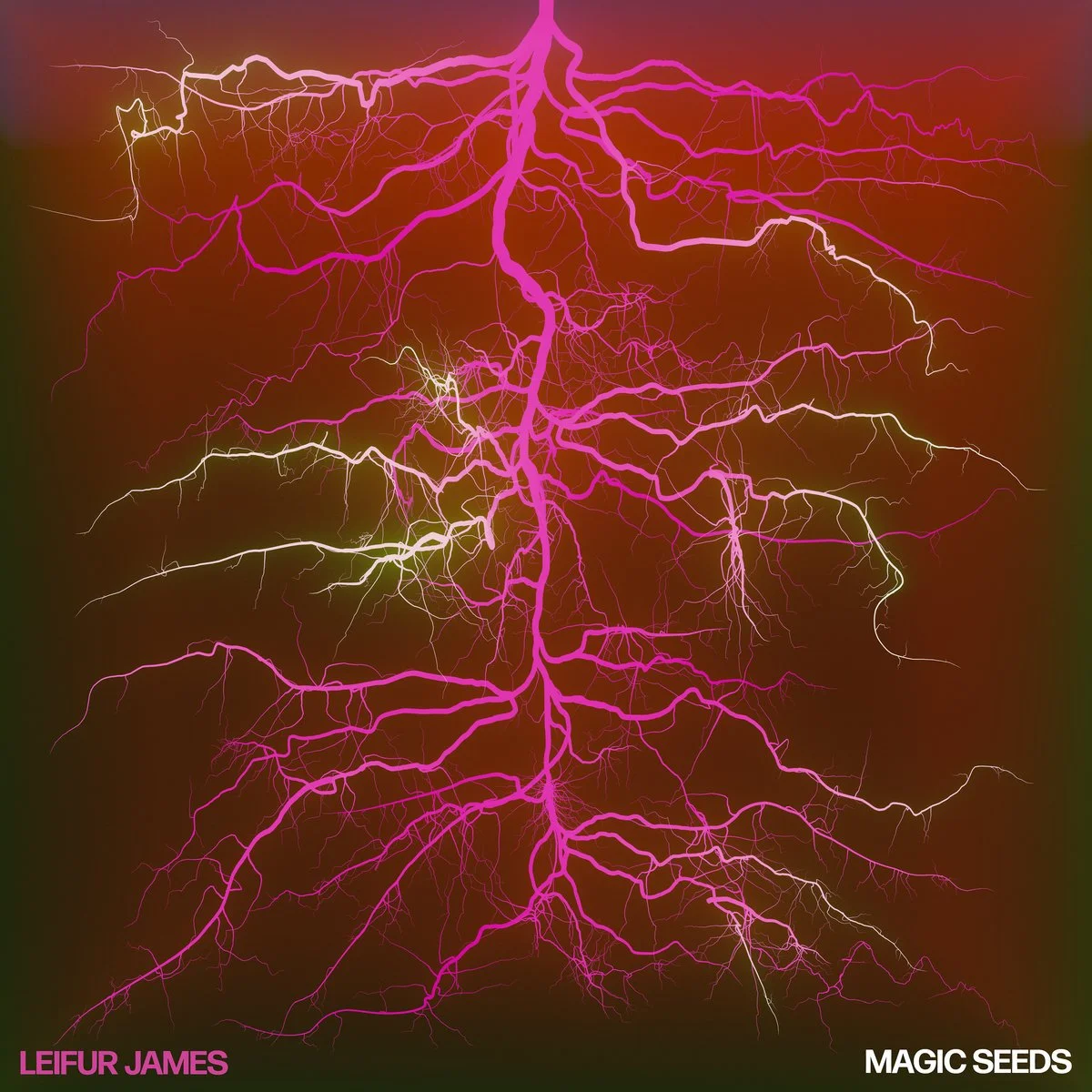 Leifur James 
 Magic Seeds 
