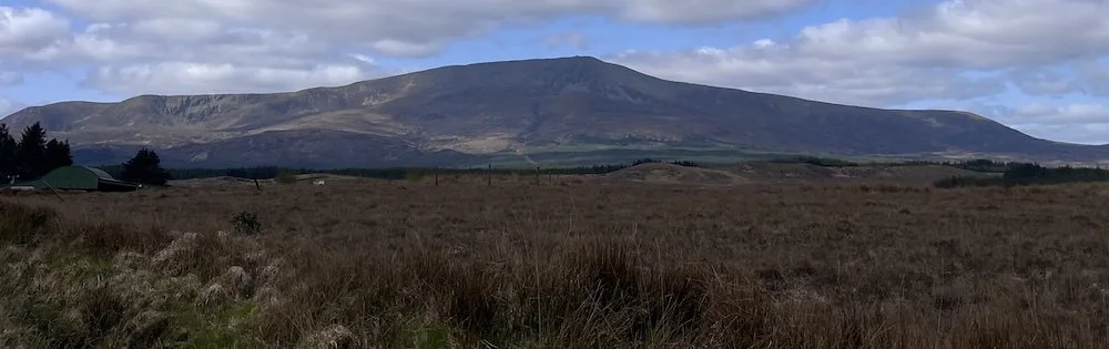 A mountain in the distance with a grassy field in the foreground, partially cloudy sky, and a few small structures on the left.