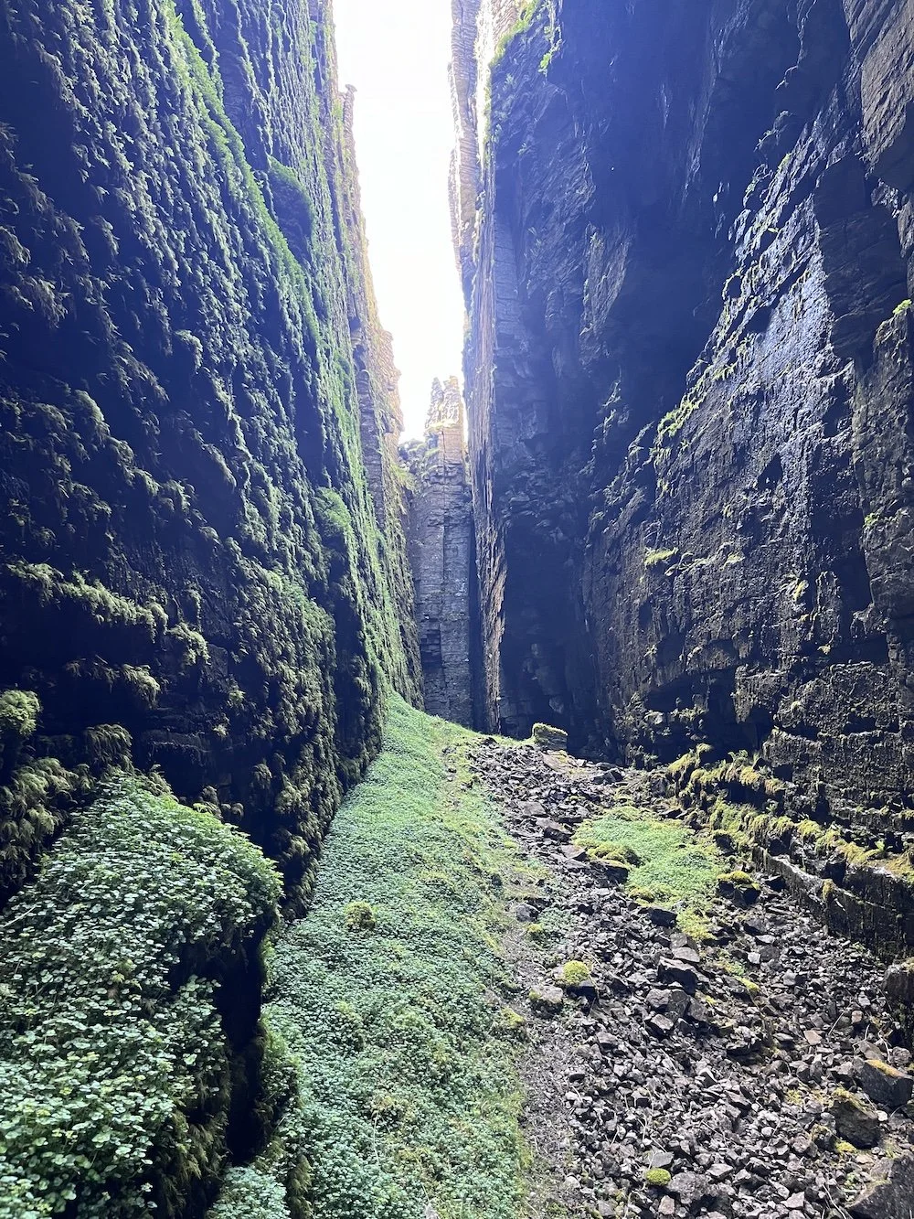 A narrow canyon with steep, moss-covered cliffs on either side, a rocky trail, and bright sunlight at the top.