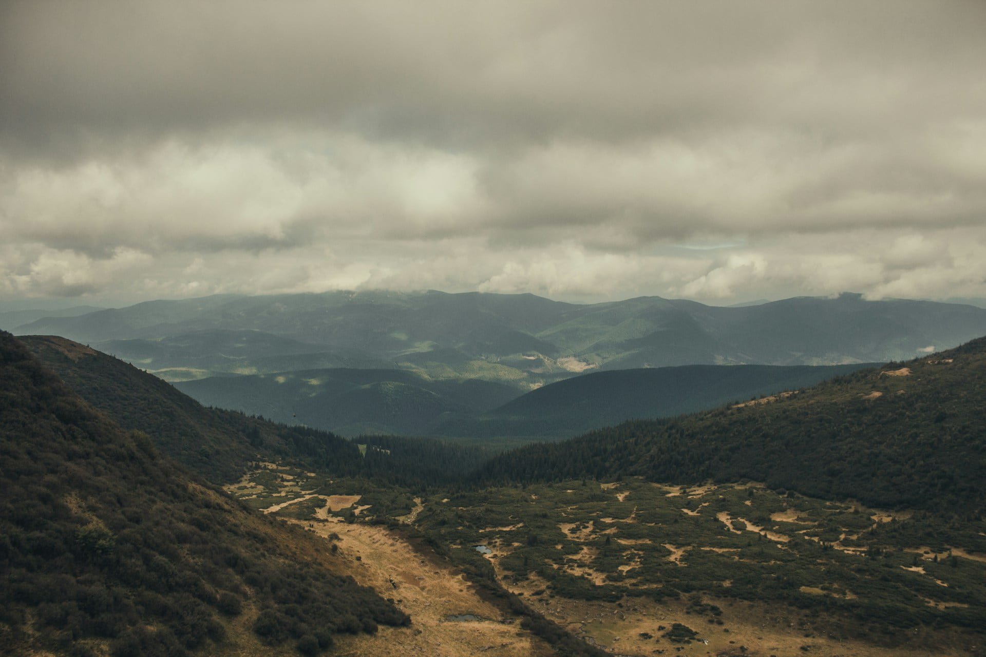Flat-Fee Real Estate in Central Park