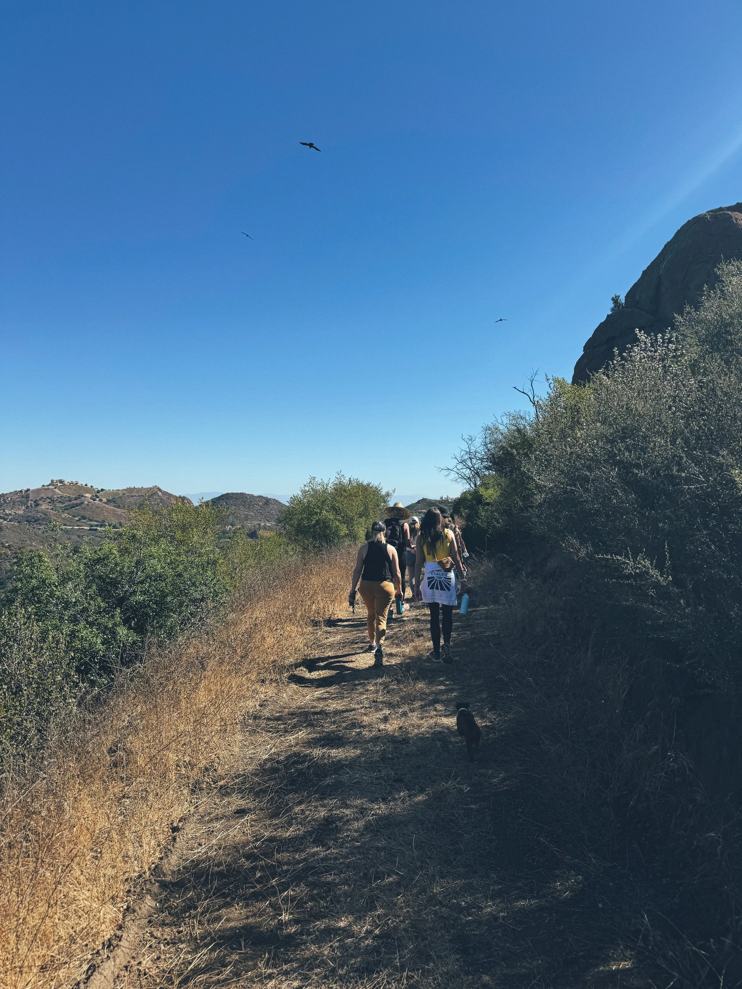 Women hiking through the Santa Monica hills at Calamigos Ranch, Malibu, during Wild Duchess Wealth and Wilderness field trip