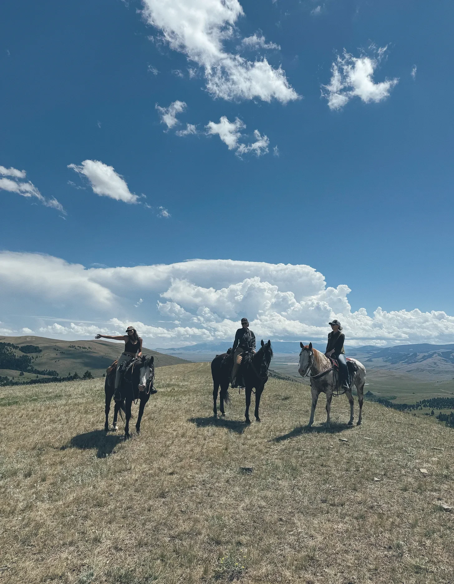 Montana Field Trip: The Power of Stepping Outside From Executive Life.