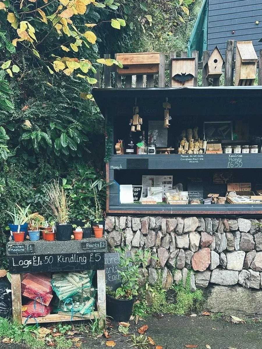 A small roadside stall selling plants, logs, Kindling, honey, and eggs, with handwritten price signs. The stall is made of stone and wood, with a nearby garden showing potted plants and overhanging leaves.