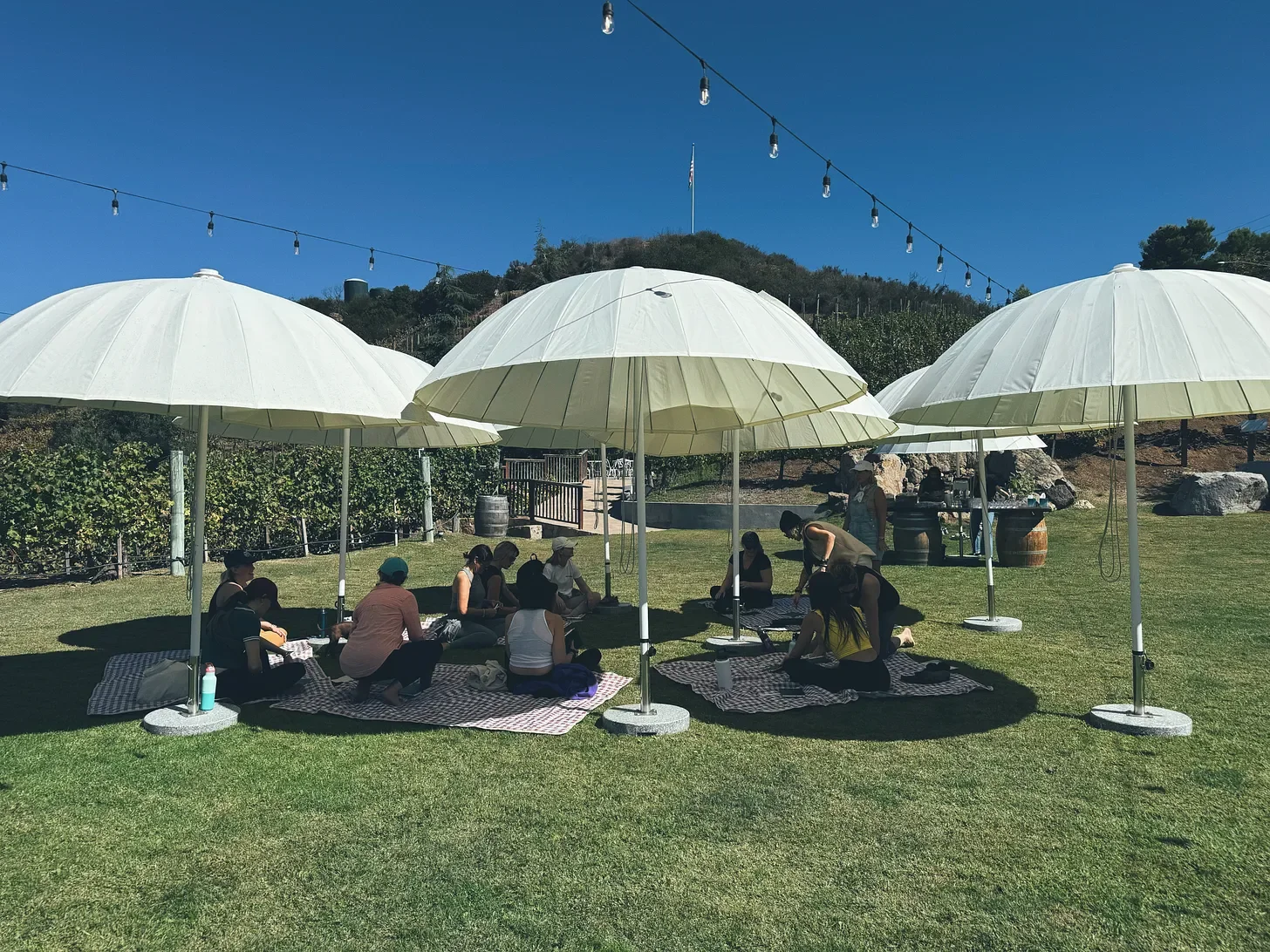 Wealth &amp; Wilderness: Field Notes from Our First Los Angeles Field Trip