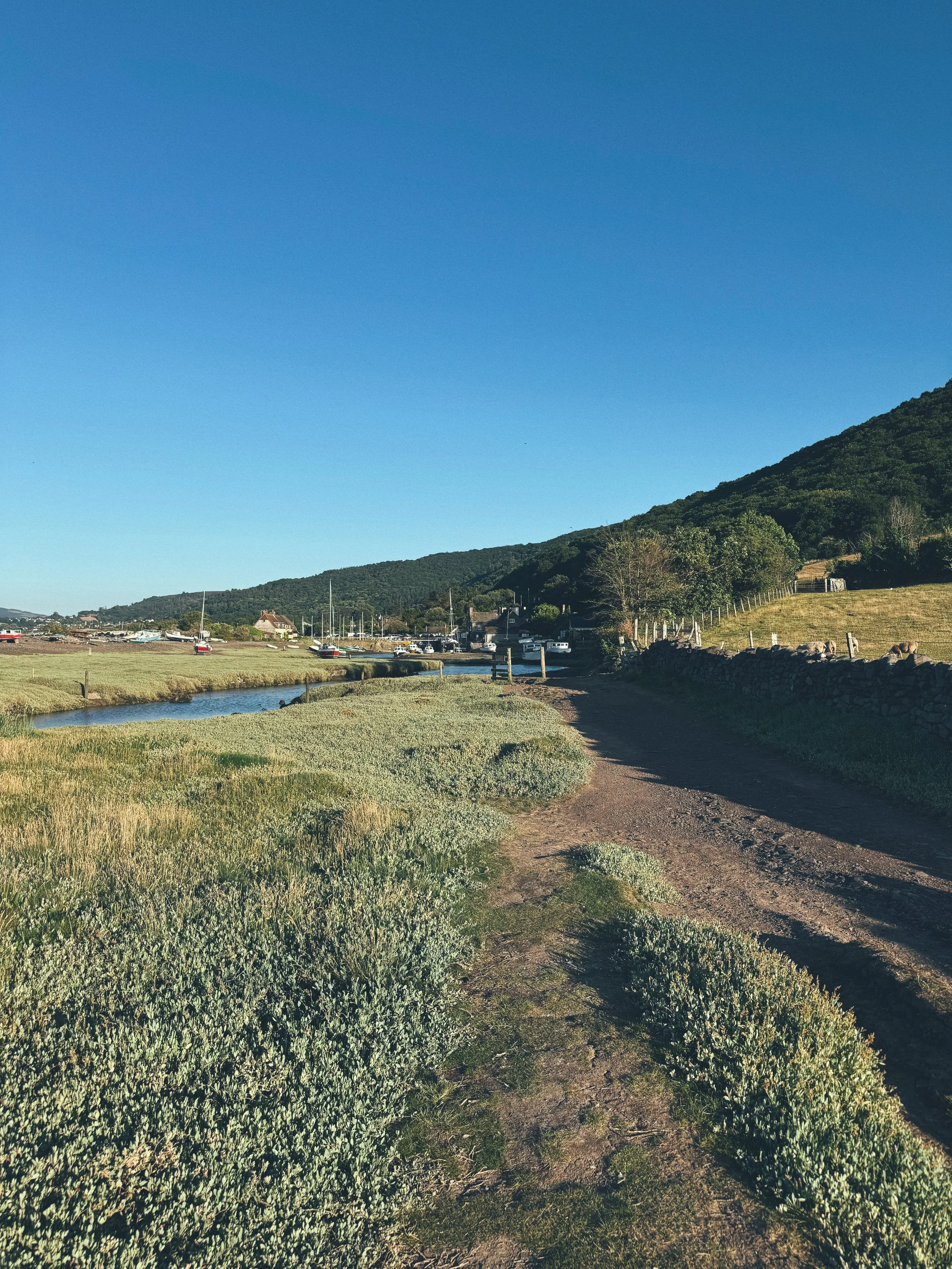 Porlock Weir Boats Summer.JPG
