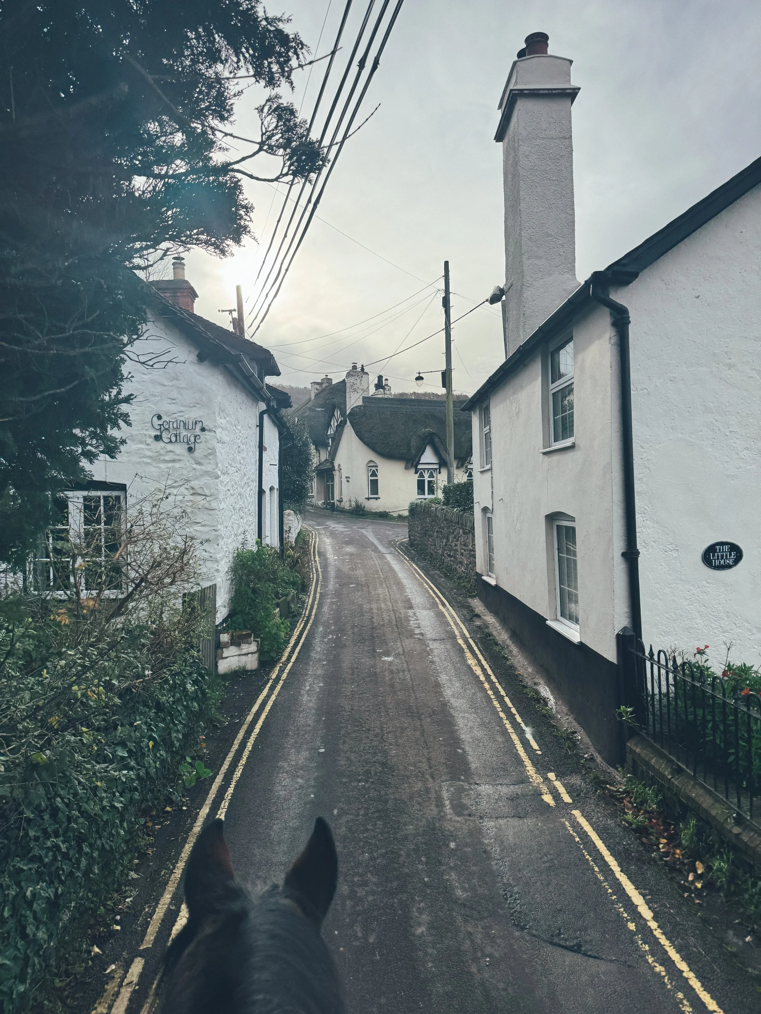 View of a narrow, winding village street with white cottages on either side, a horse's head in the foreground, and cloudy sky above.