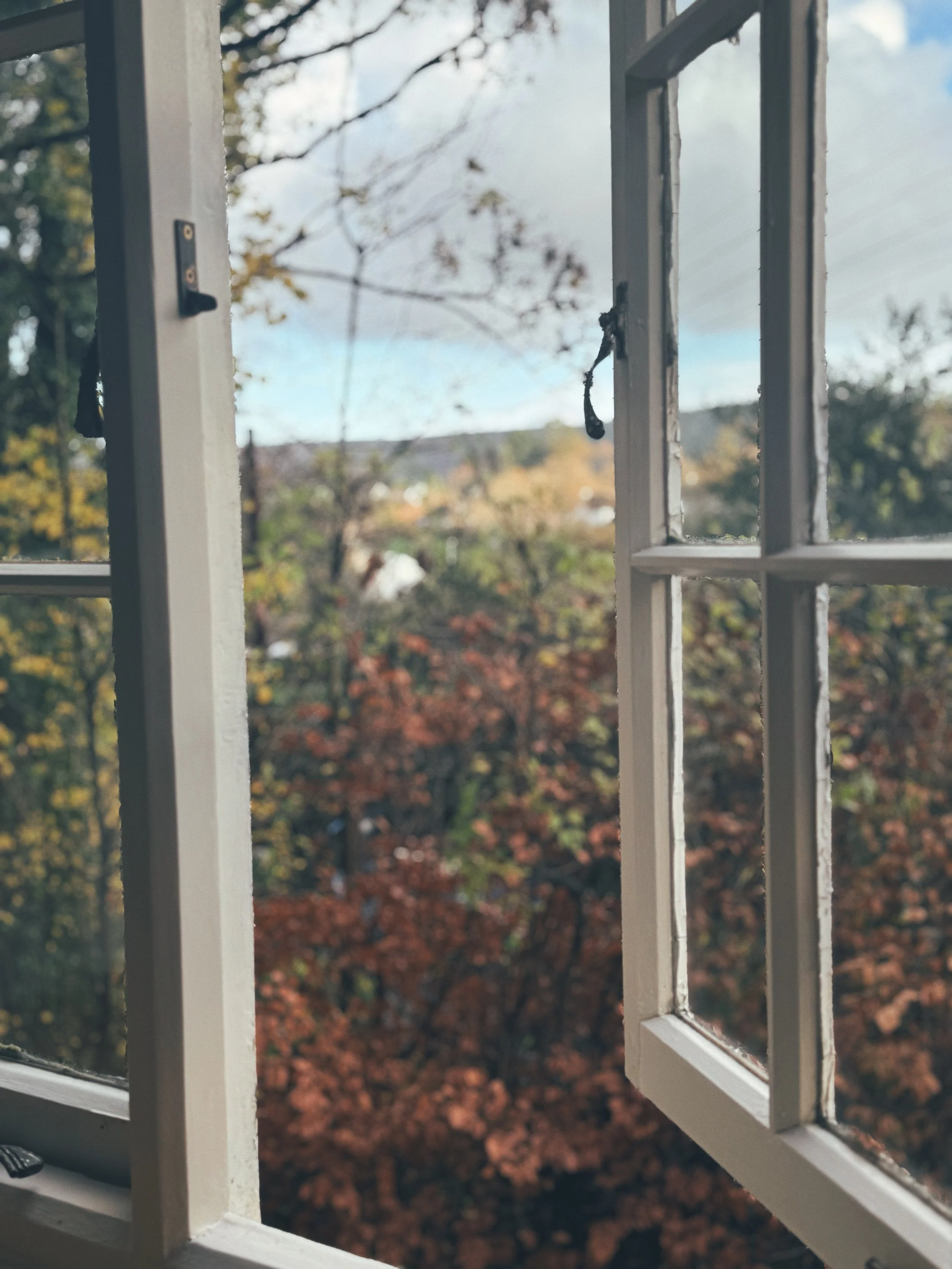 Open white-framed window looking out at trees with autumn-colored leaves and a cloudy sky.