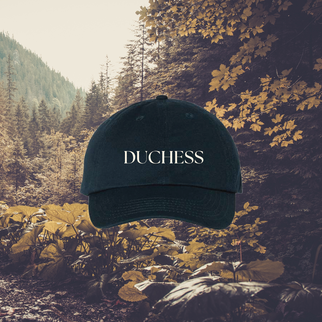 WD Dad Hat
