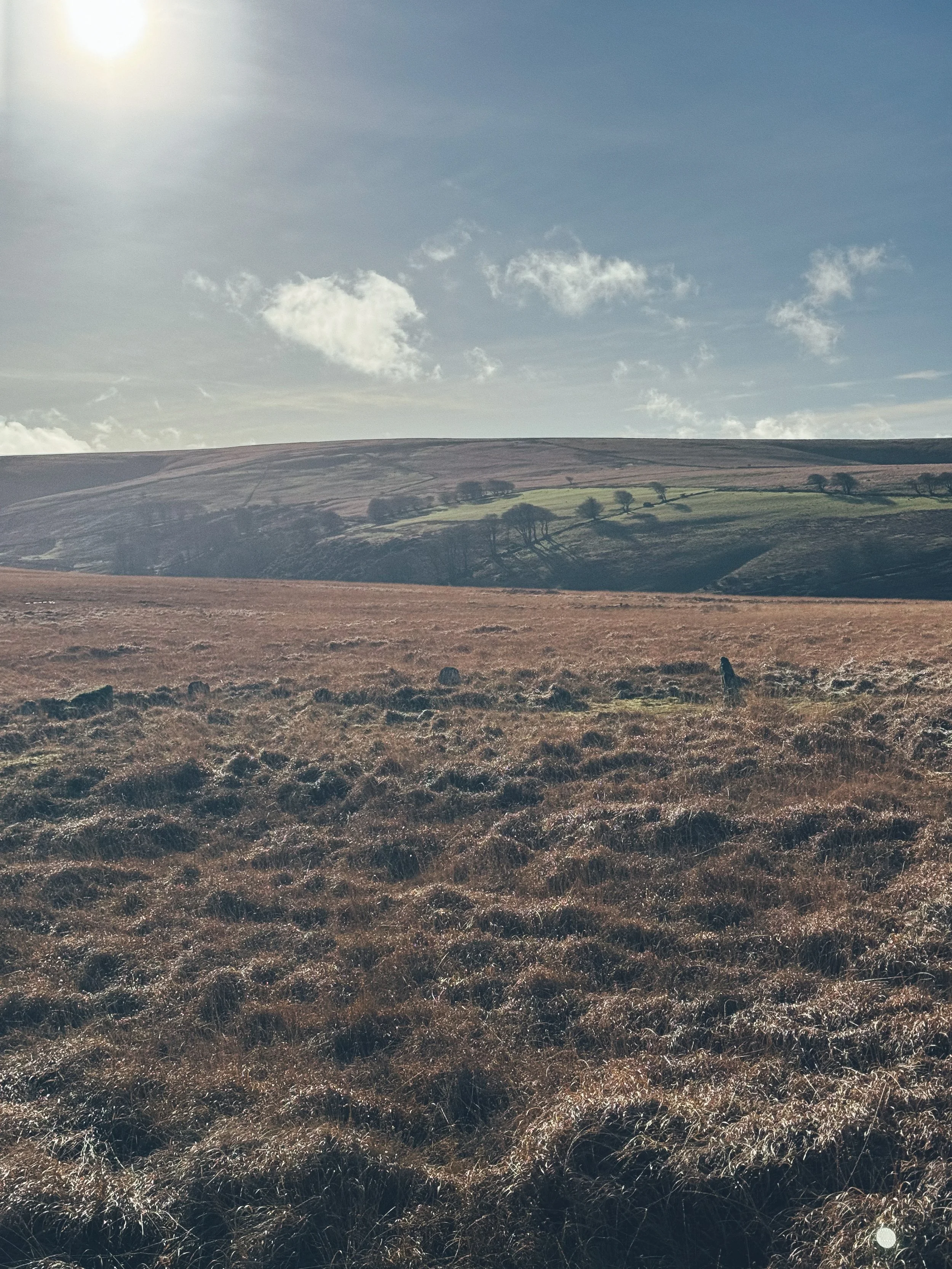 A vast open field with dry grass and scattered rocks, with rolling hills and a few trees in the background under a partly cloudy sky.