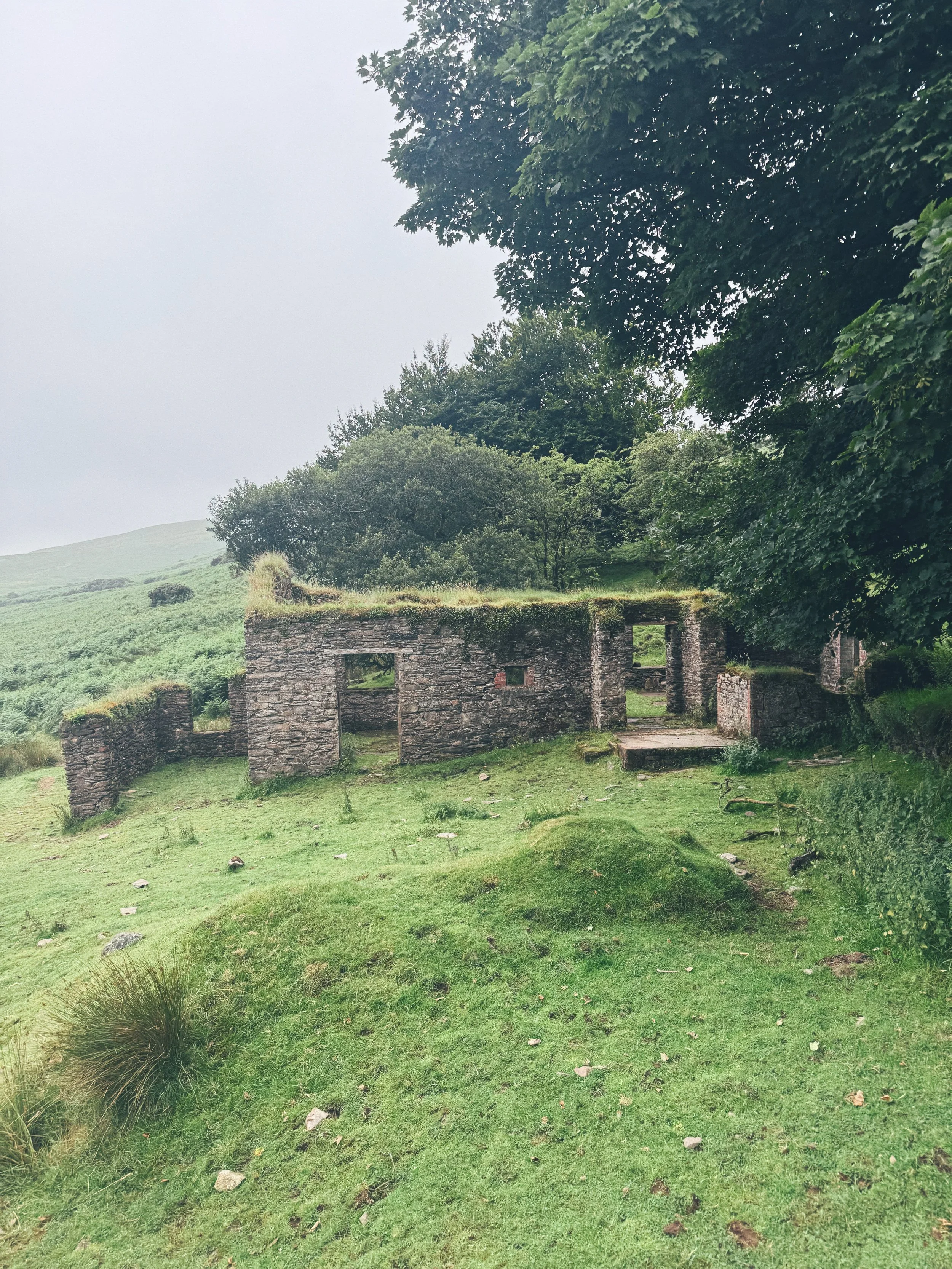 Ruins of an old stone building in a grassy landscape with trees and hills in the background.