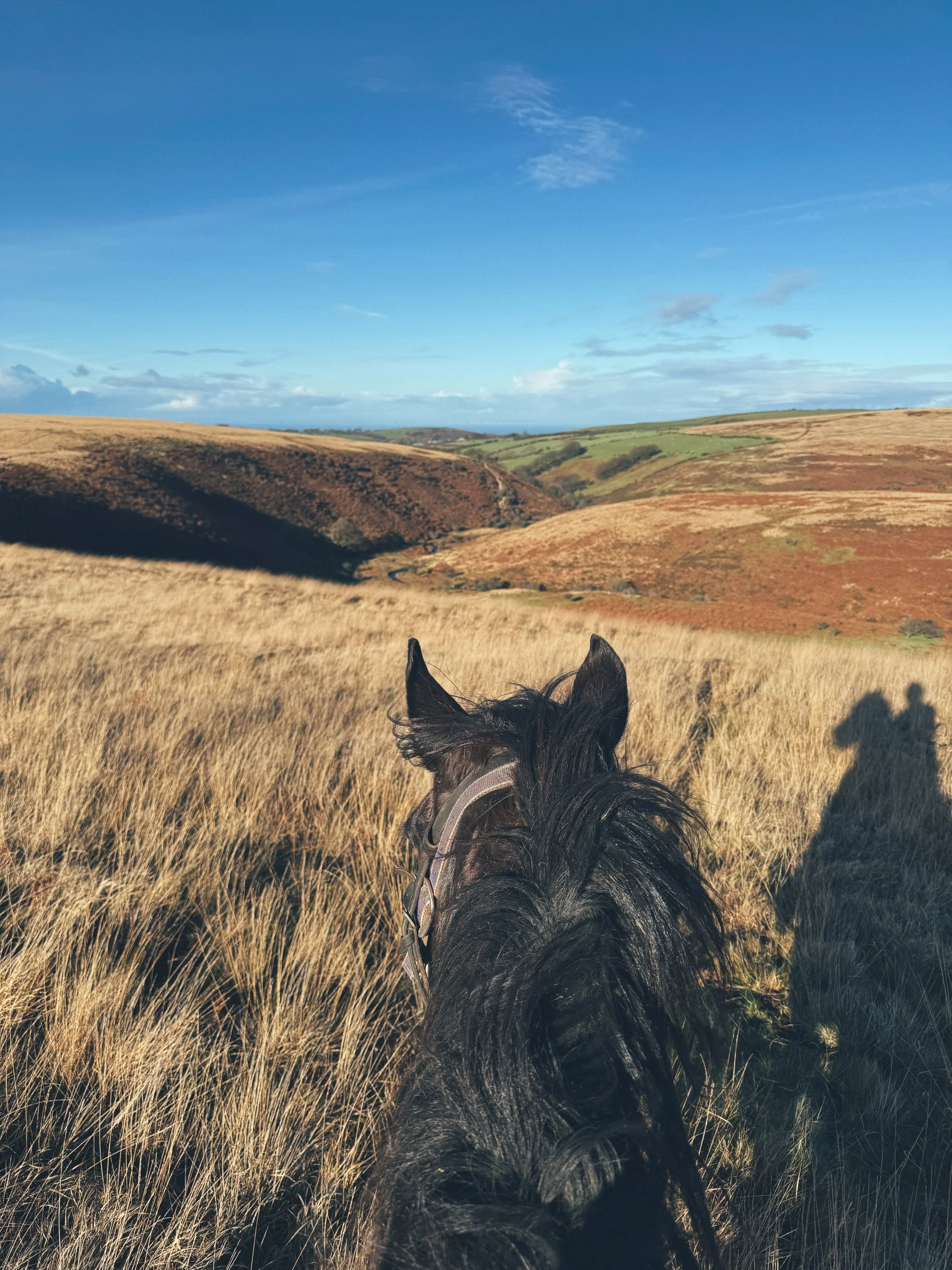 View from behind of a black horse riding through a grassy hillside with rolling hills and a blue sky in the background.