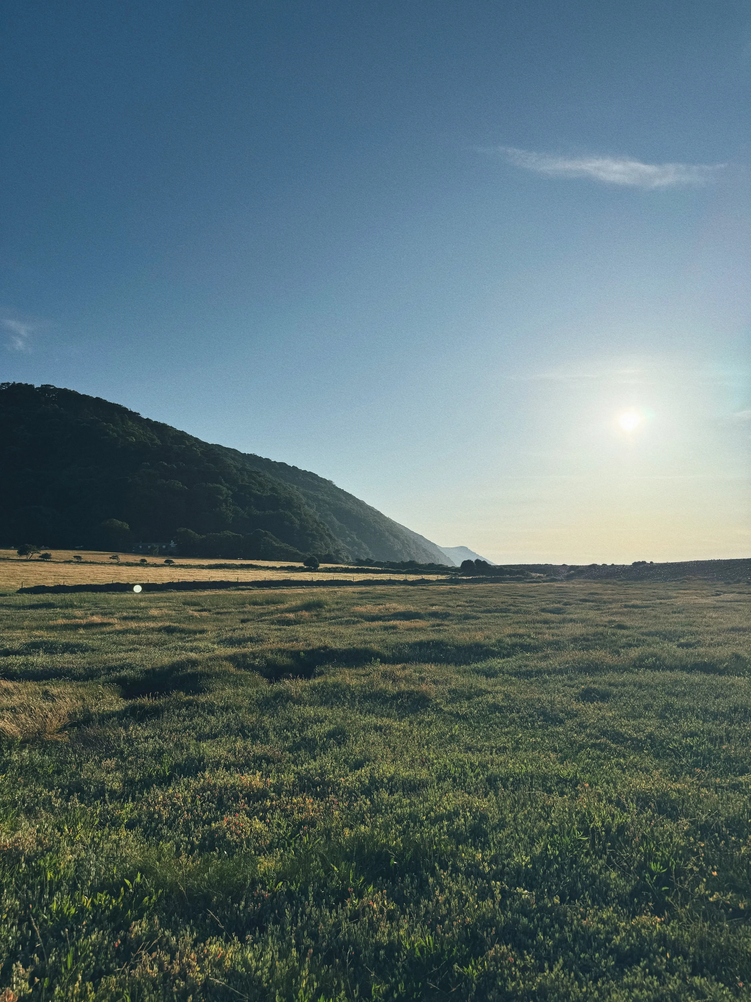 Open field with green grass and a mountain in the background under a clear blue sky with the sun shining.