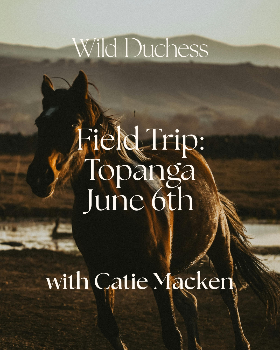 Topanga Field Trip: Horses and Career Constellations with Catie Macken