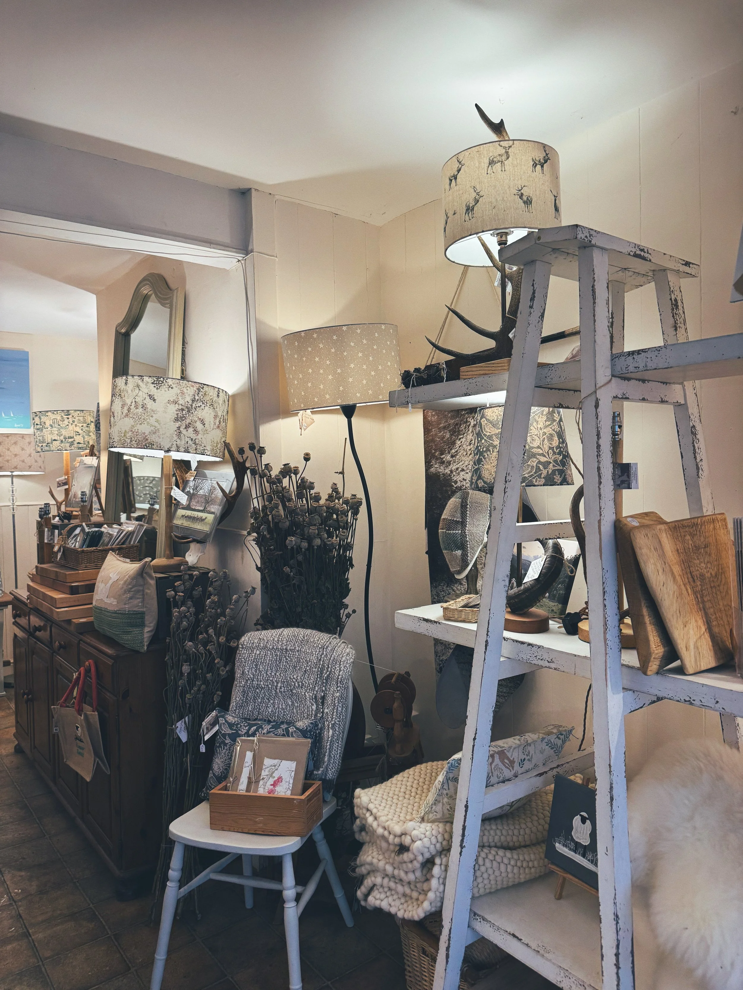 Interior of a home decor store with lamps, mirrors, wooden boxes, and various household items arranged on shelves and furniture.