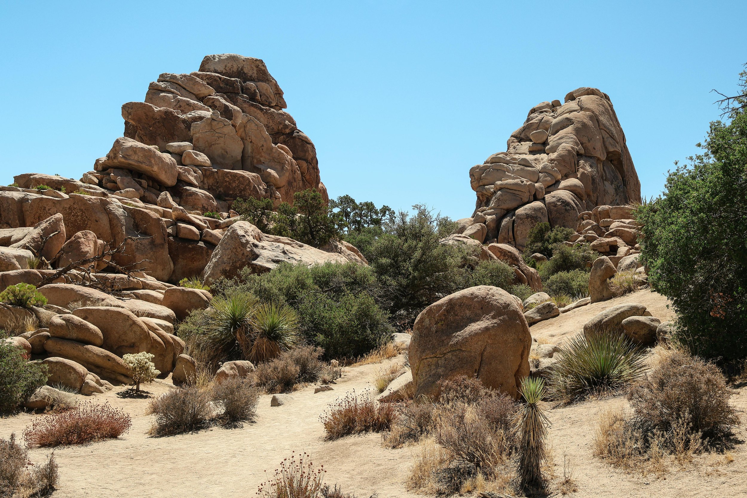 Los Angeles desert with tall rocks and bushes