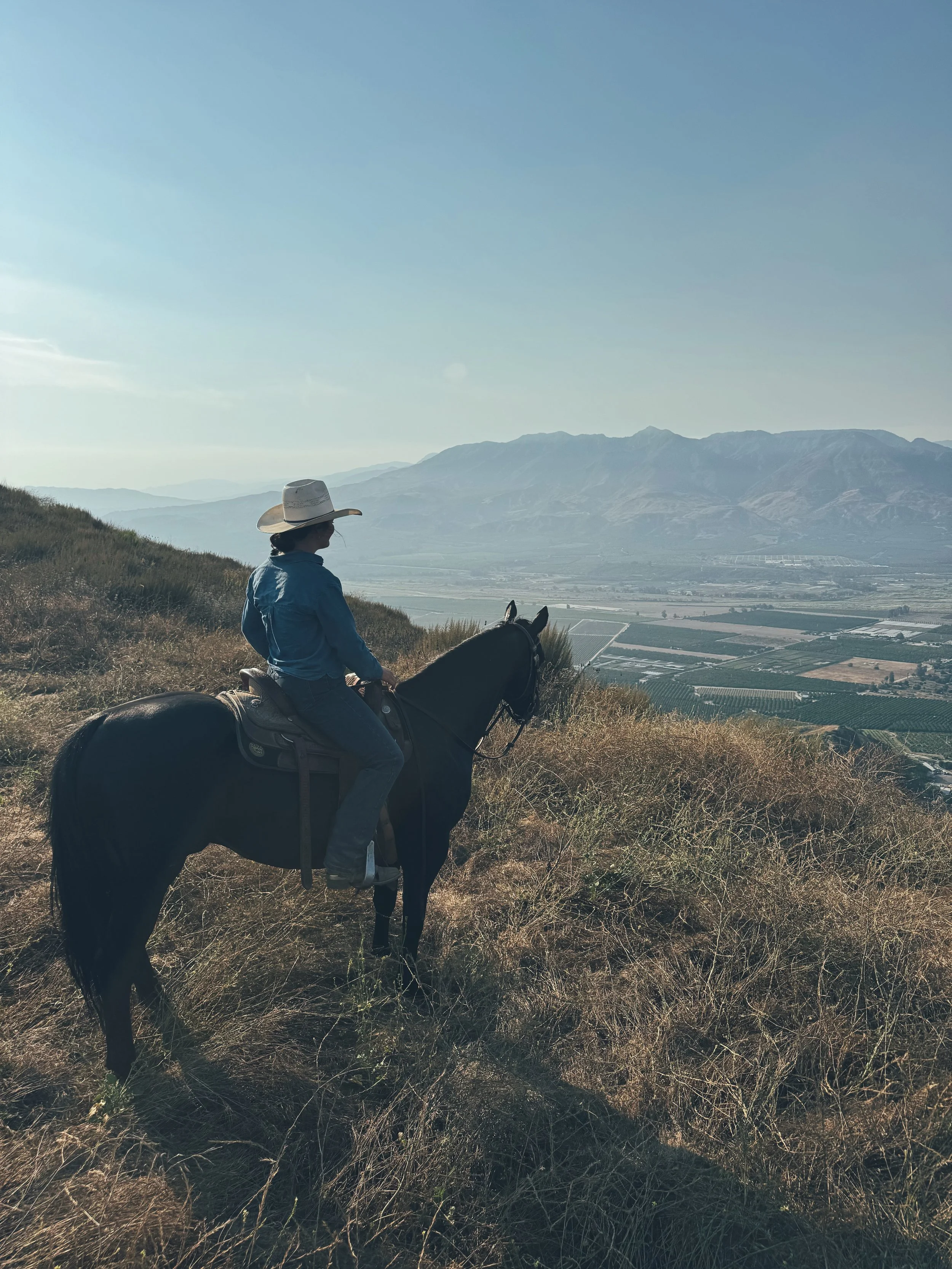 Woman on horseback wears cowboy hat, standing on a grassy ridge, overlooking a green valley with mountain in background