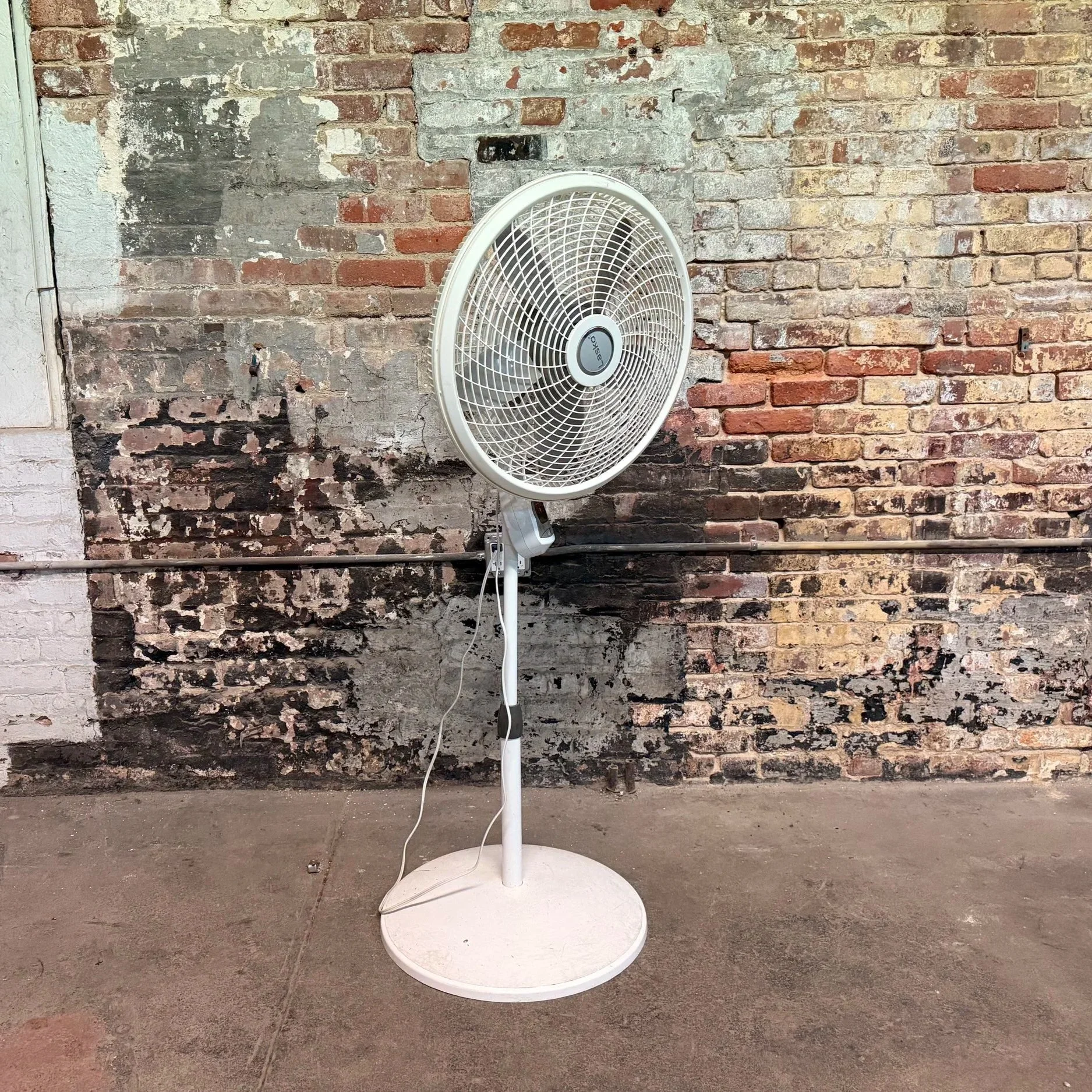 Pedestal fan