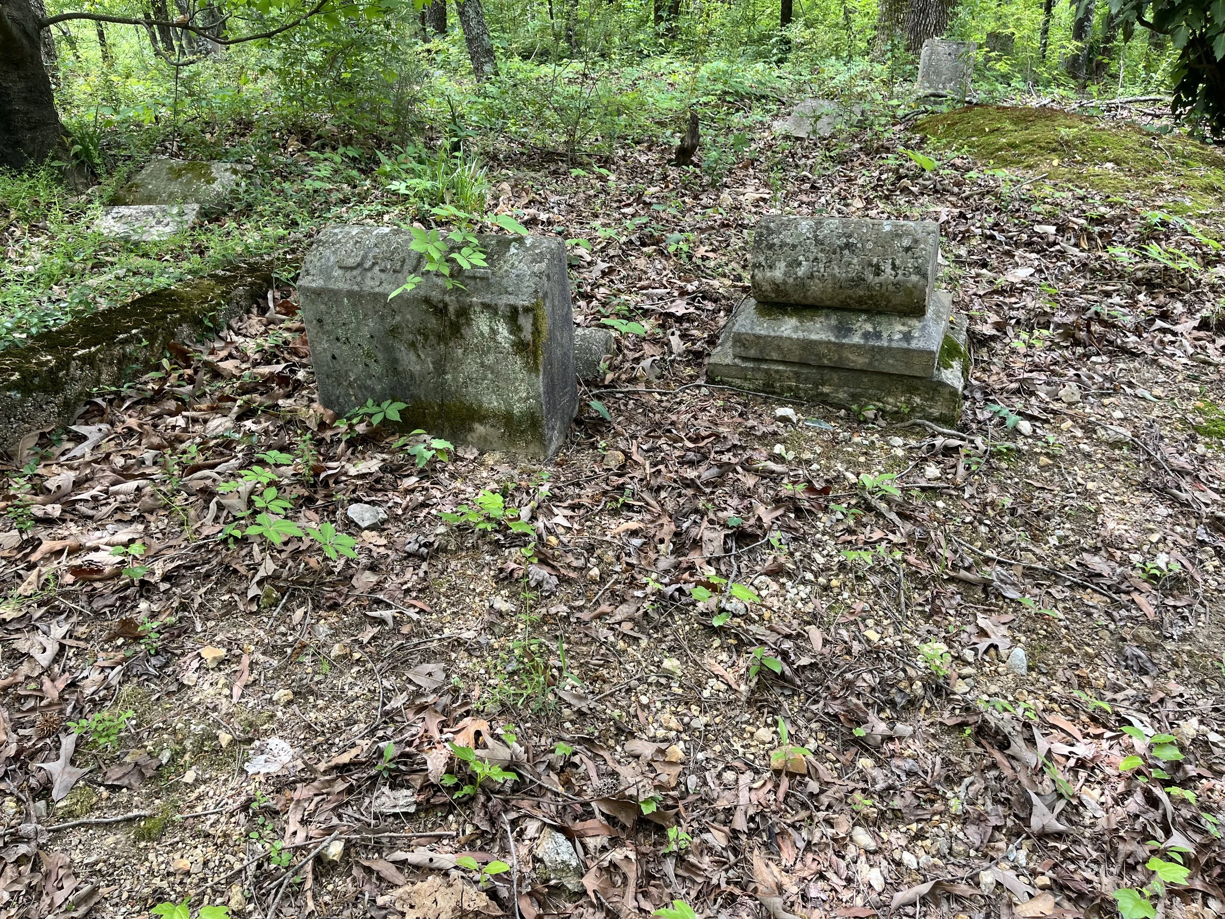 Two old, moss-covered gravestones in a wooded area with fallen leaves and small green plants. The graves are weathered and partially obscured by surrounding vegetation.
