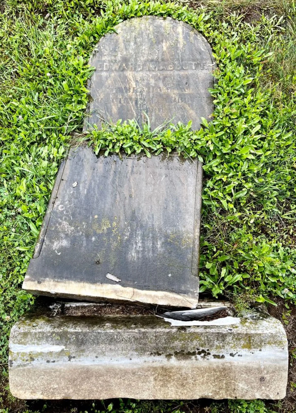 A broken and weathered gravestone lying on the ground, surrounded by green grass and small plants.