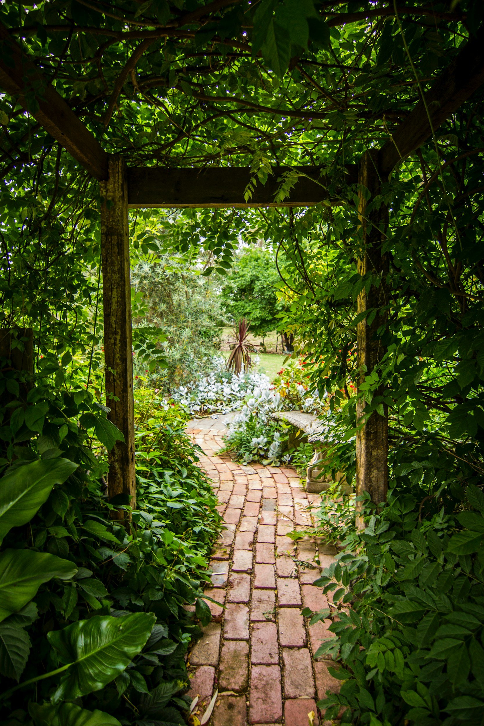 A brick garden path surrounded by lush green foliage and plants, leading to a garden area with white flowers and a small stone bench in the distance, under an arbor covered with leaves.