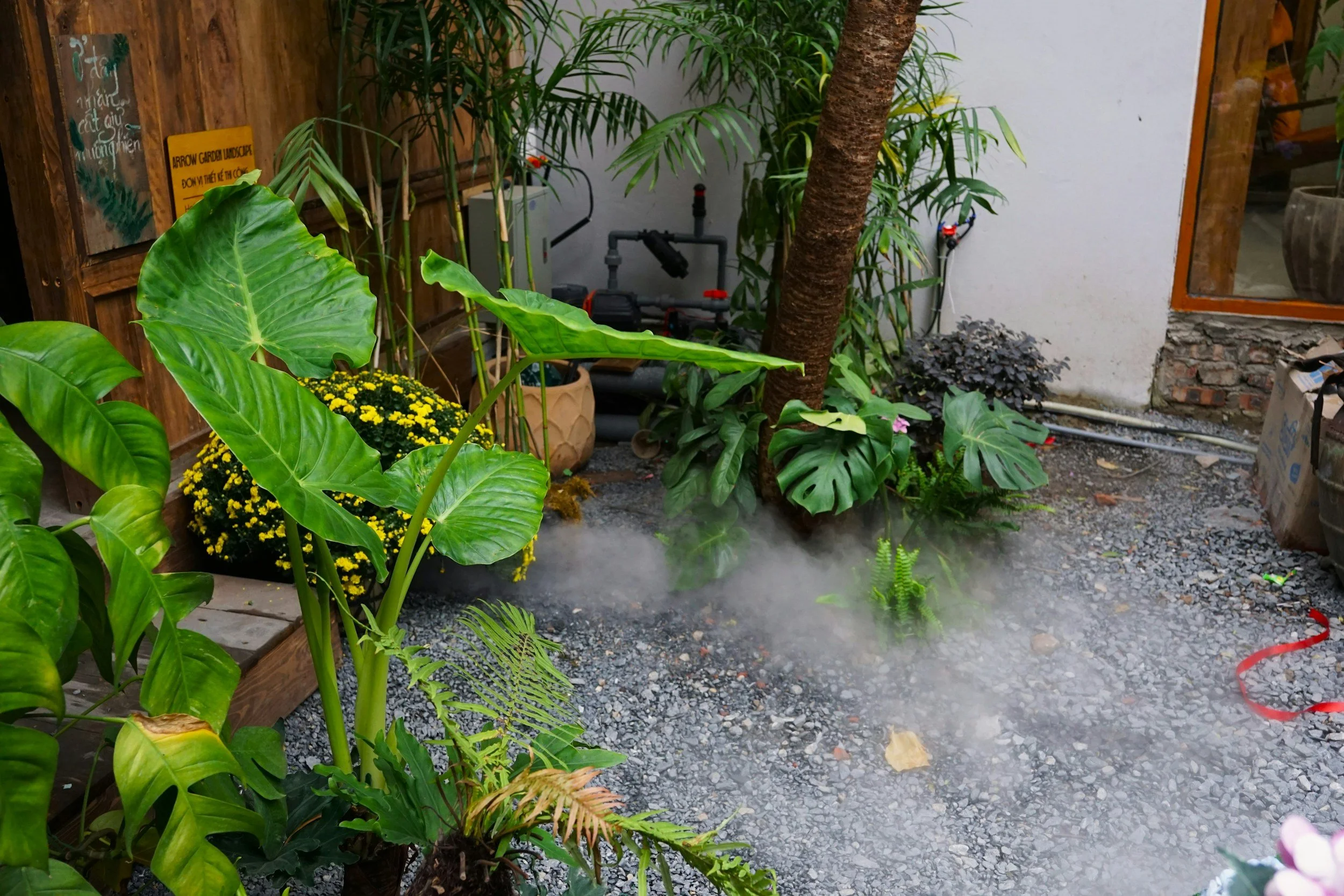 A small indoor garden with a variety of green plants including large-leafed tropical plants, a tree, and yellow flowering plants. There is a cloudy or misty floor, and a wooden wall with a yellow sign that says 'ARROW GARDEN LANDSCAPE' in the background. Some pipes and a window are visible on the right.
