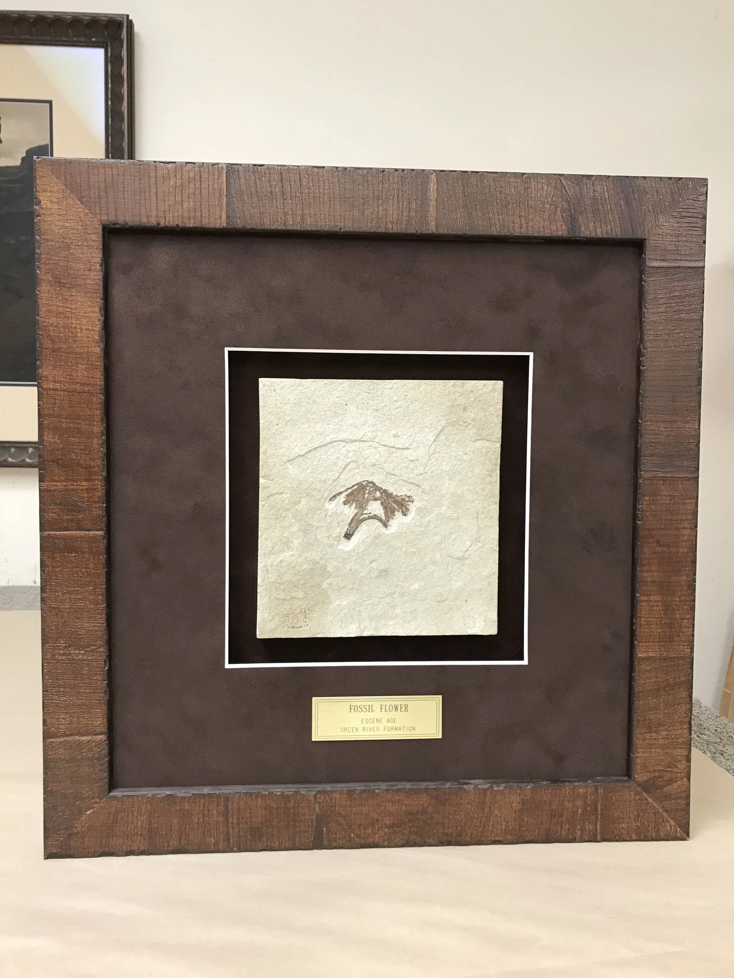 2018-04-06 12.12.22.jpg