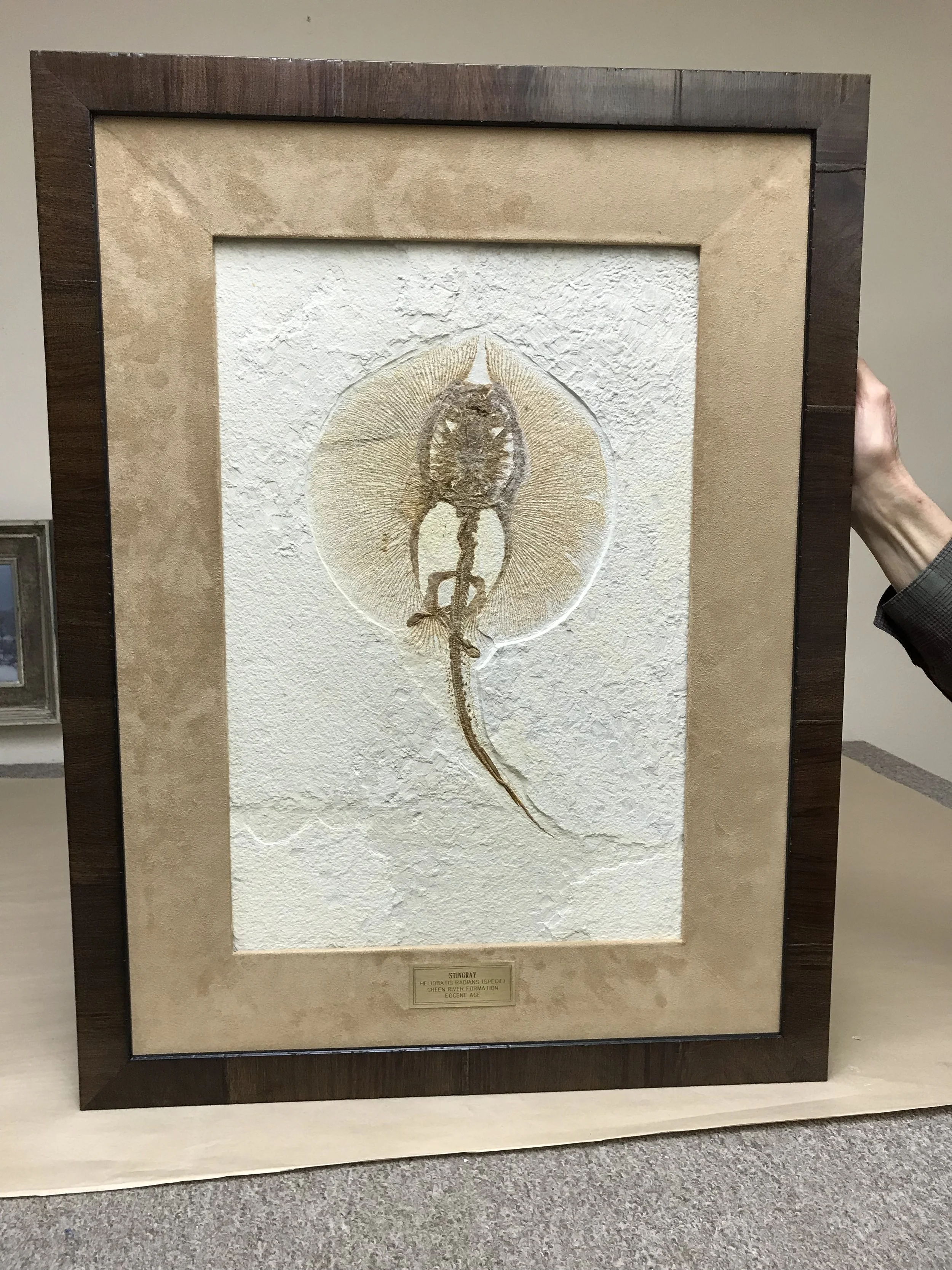 2018-04-05 13.45.54.jpg