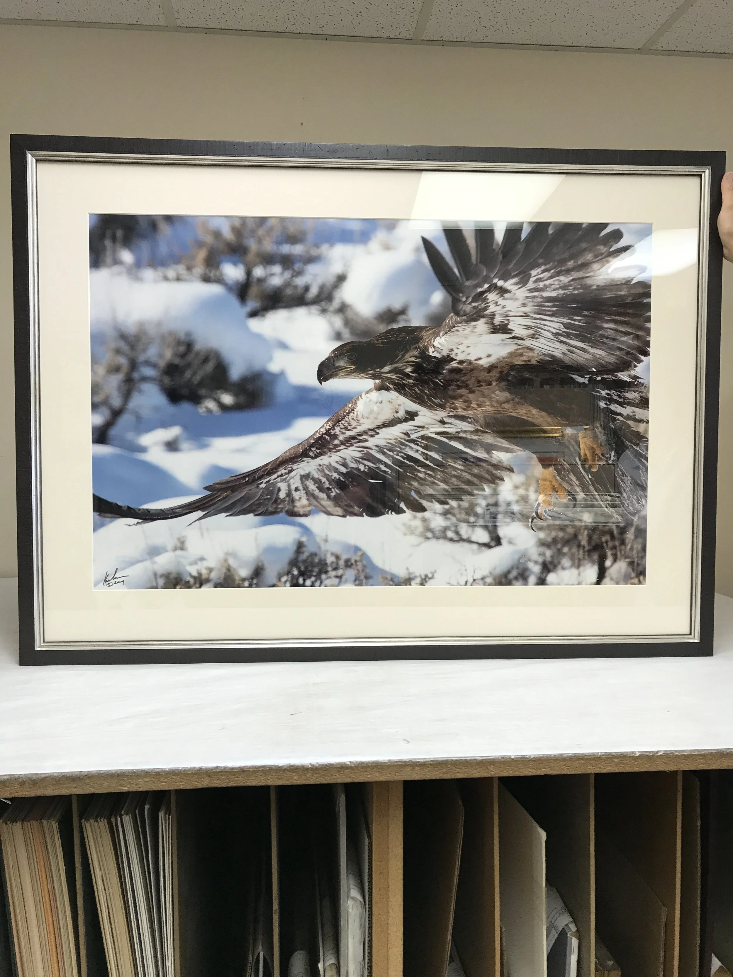 2017-06-19 16.17.46.jpg