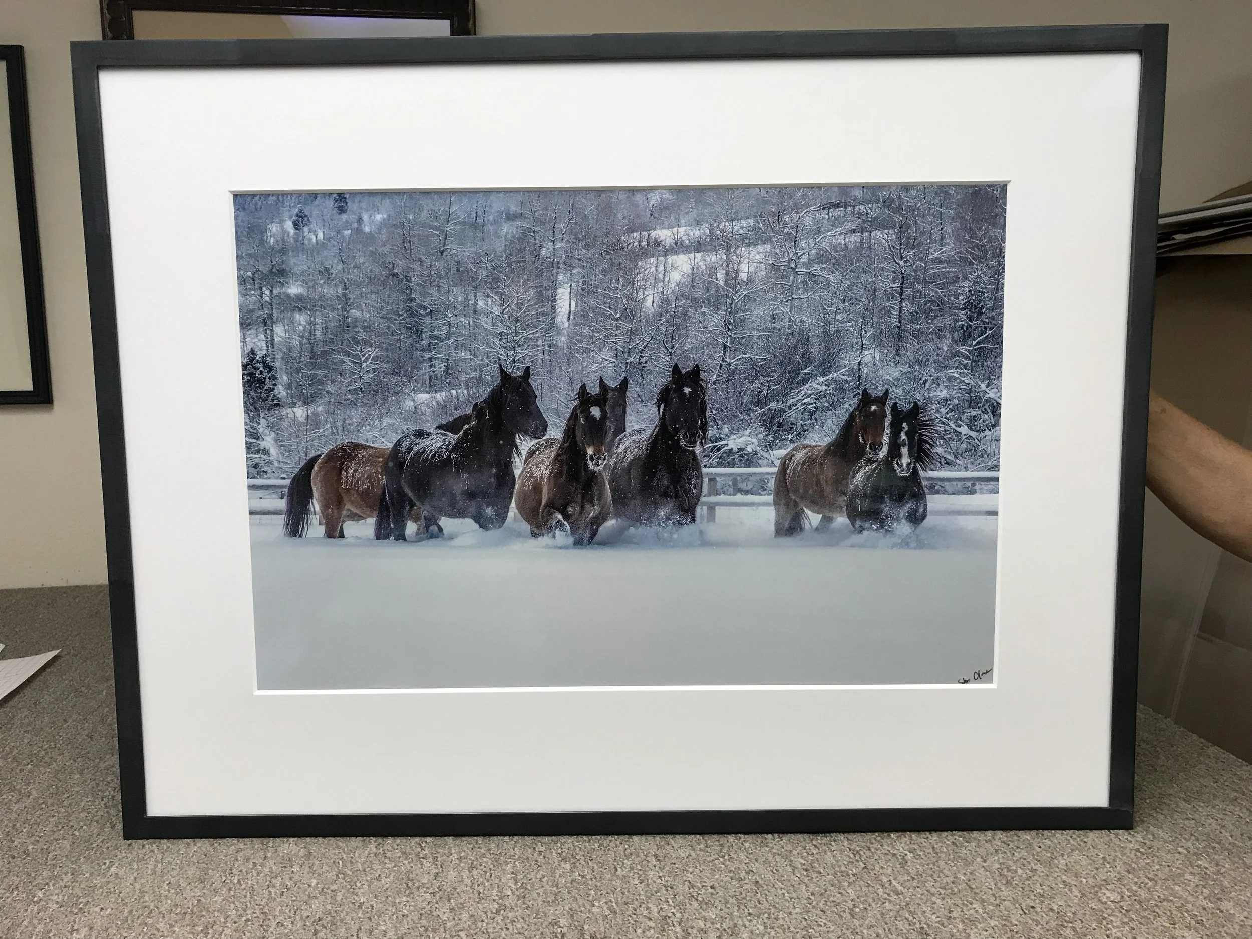 2019-08-16 14.13.34.jpg