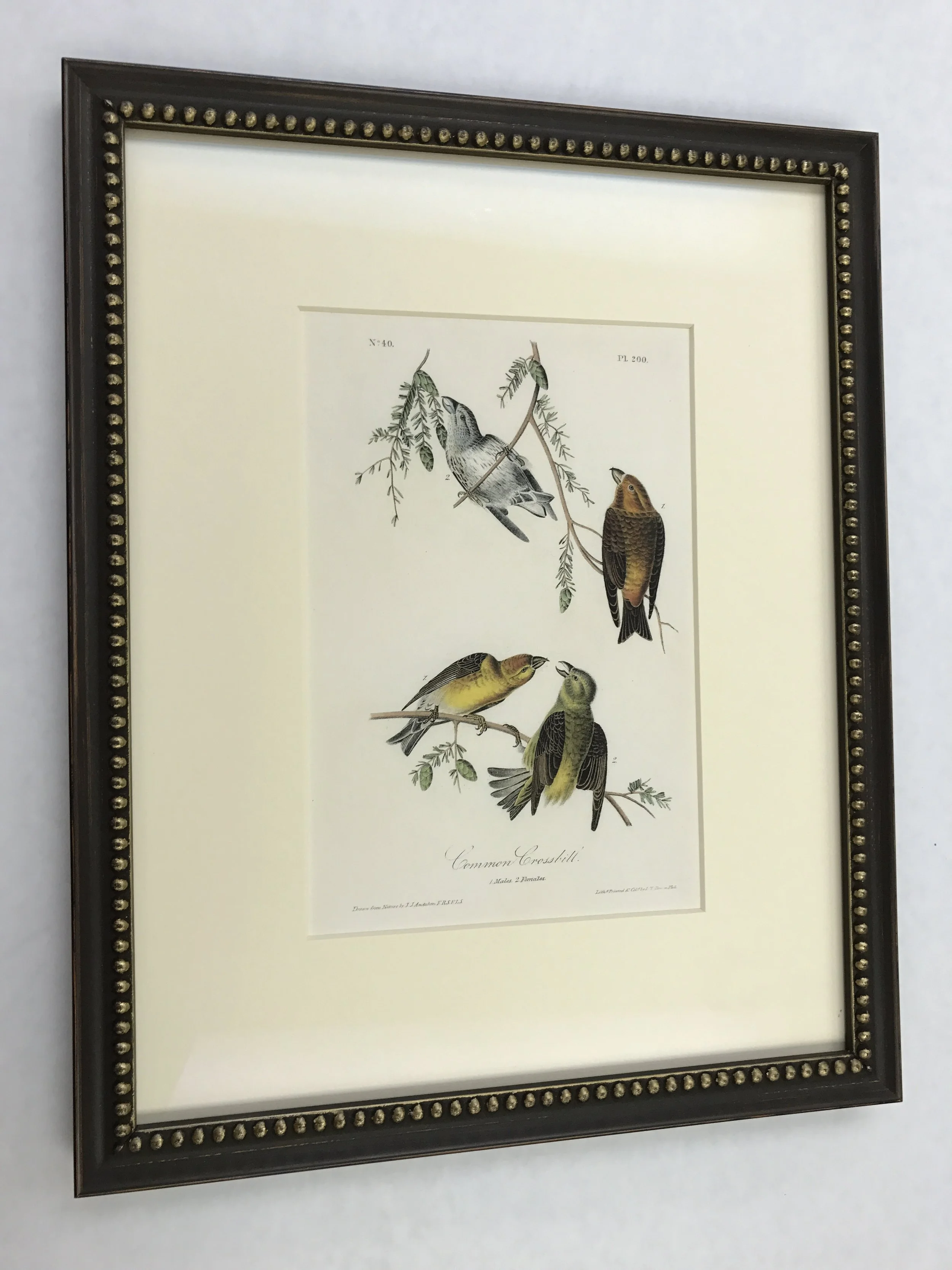 2017-04-10 13.18.22.jpg