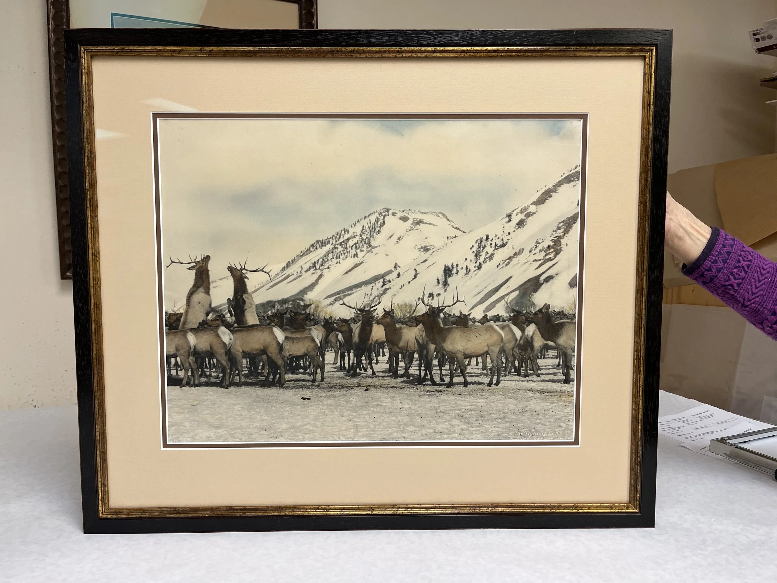 2023-02-07 17.03.09.jpg