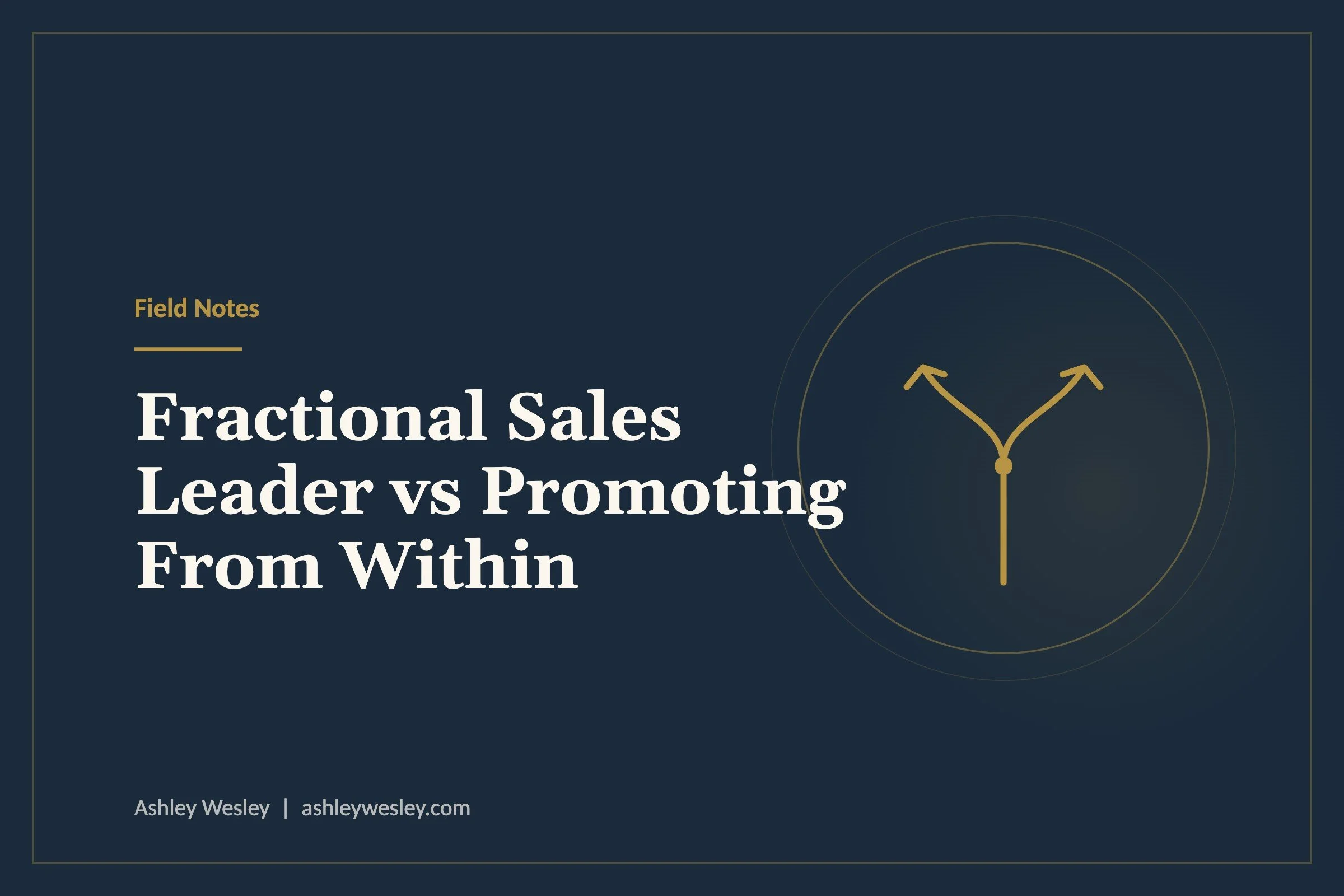 Fractional Sales Leader vs Promoting From Within