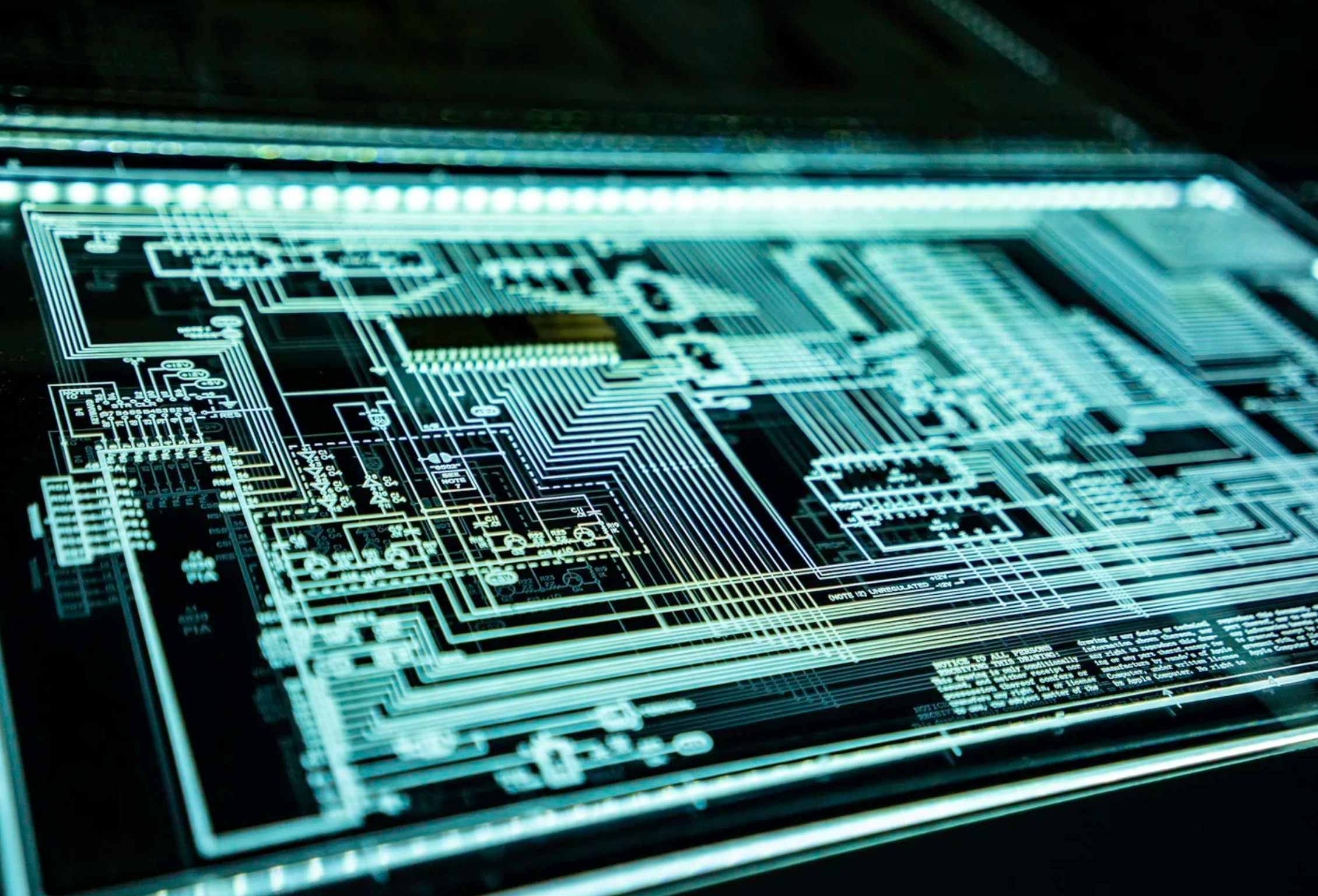 Your Company Has a Nervous System. It’s Missing Its Immune System.