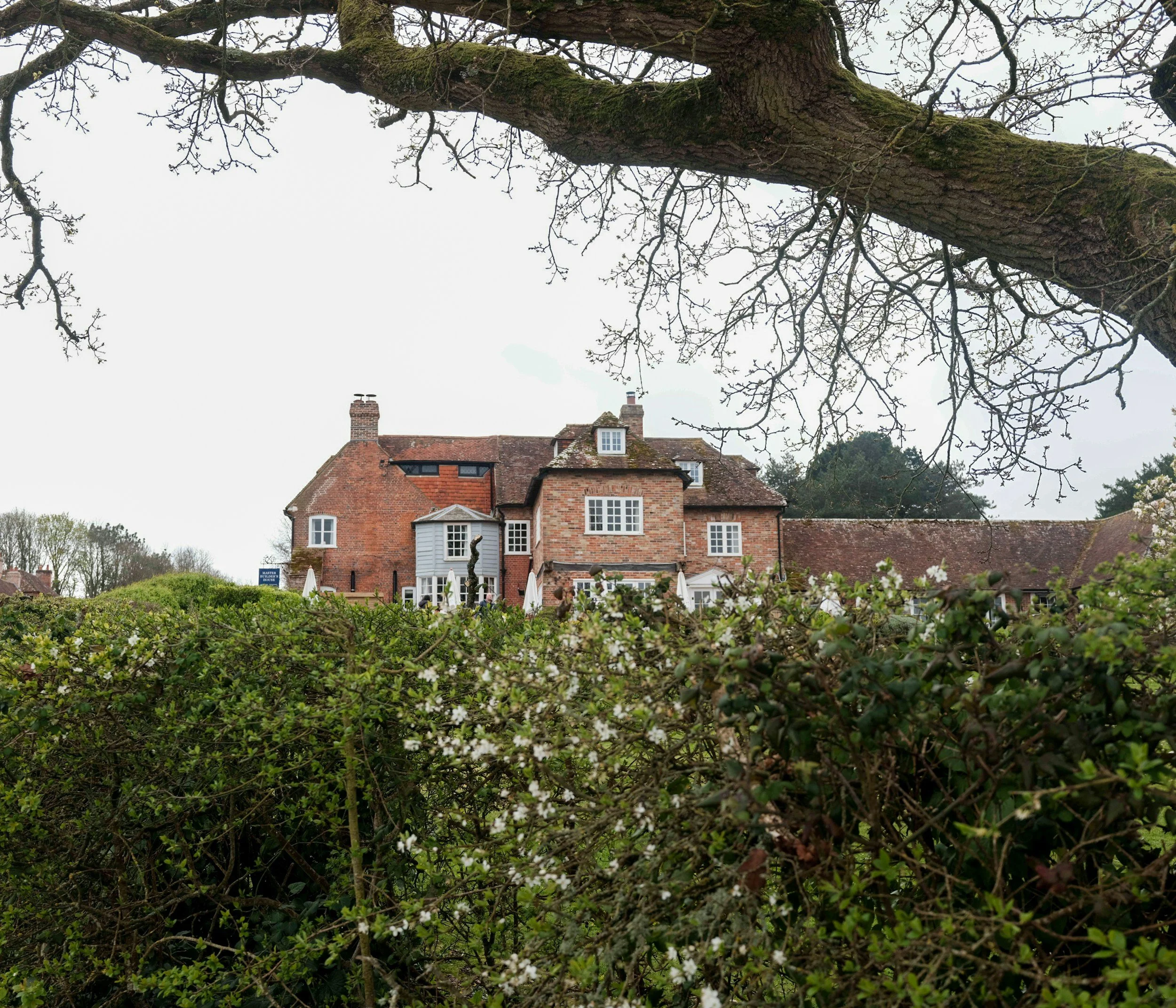 View of a large tree branch with no leaves above a brick house with a red-tiled roof, several chimneys, and white-framed windows, surrounded by greenery and shrubs.