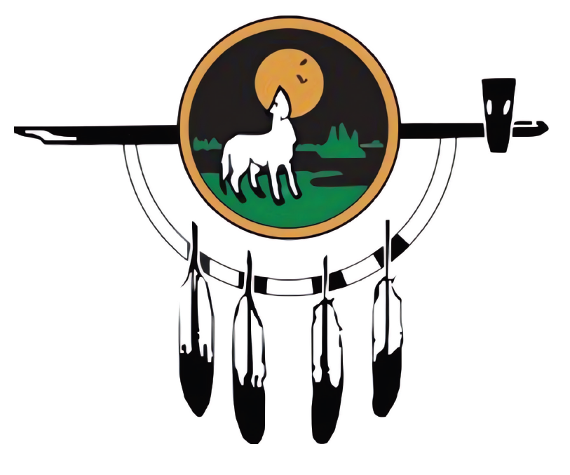 A Native American-style dreamcatcher with a circular emblem featuring a wolf howling at a moonlit night sky with green trees.