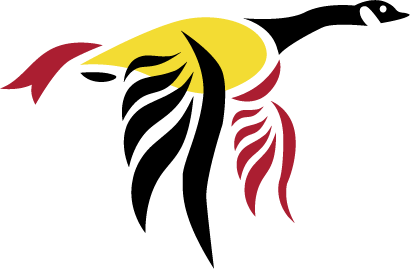 A stylized illustration of a pirate woman with a yellow bandana and a red braid.