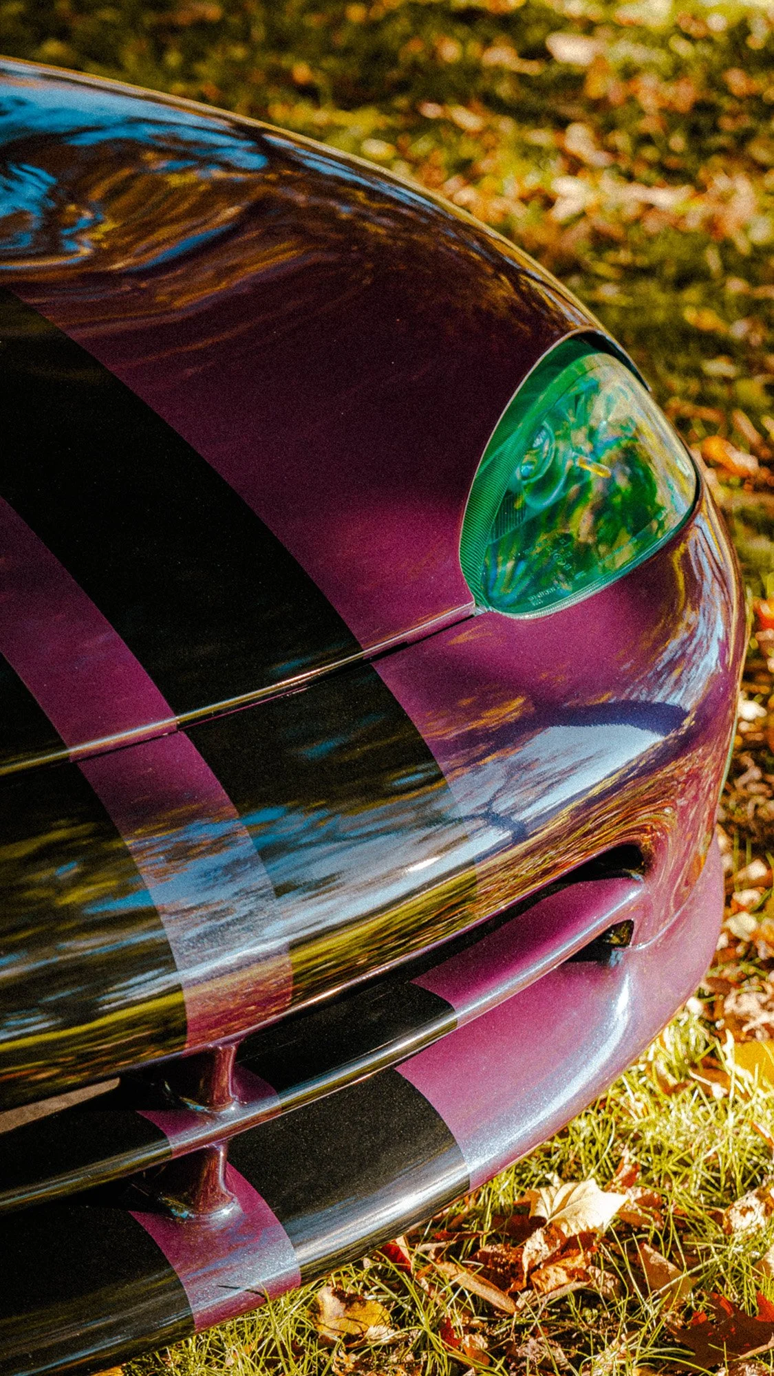 VIPER noleggio