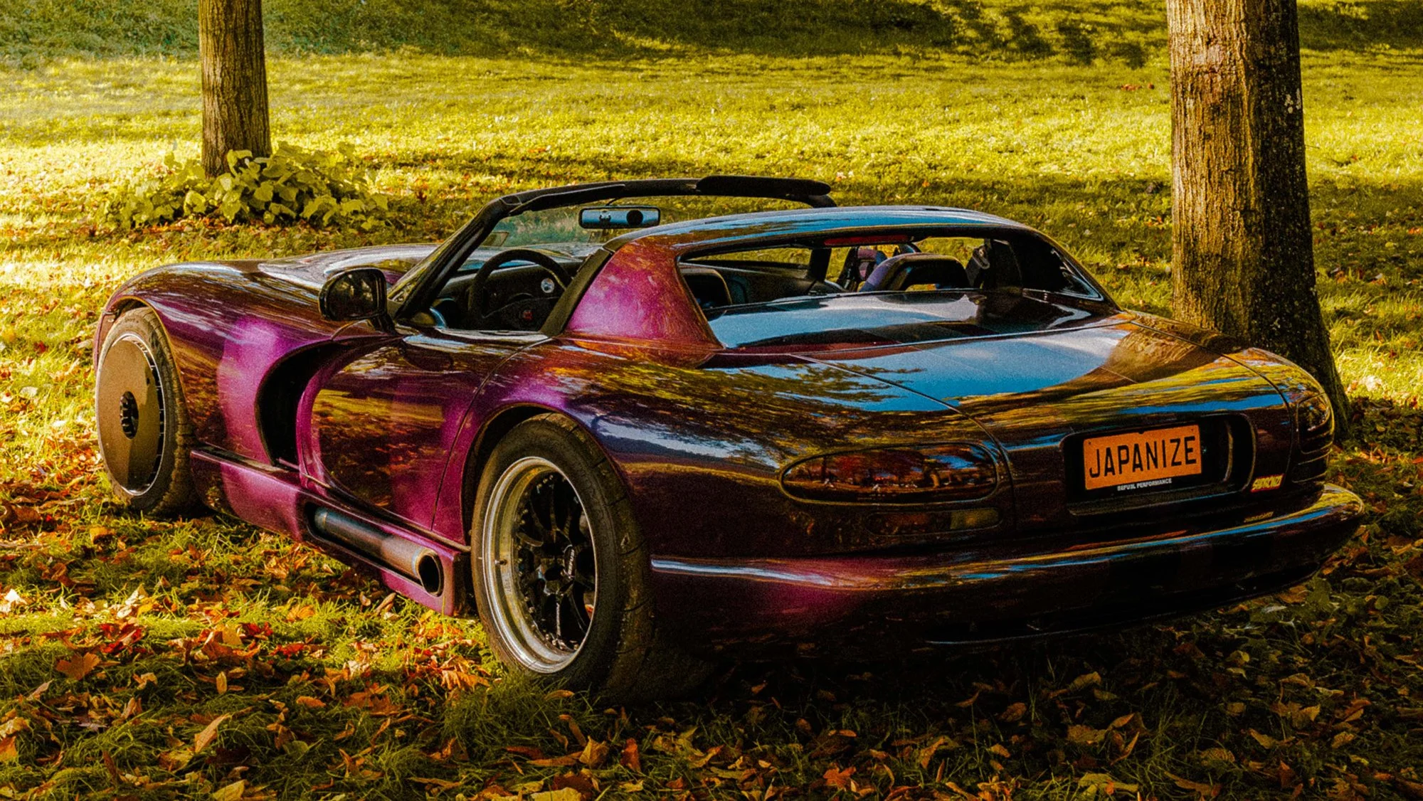 VIPER noleggio