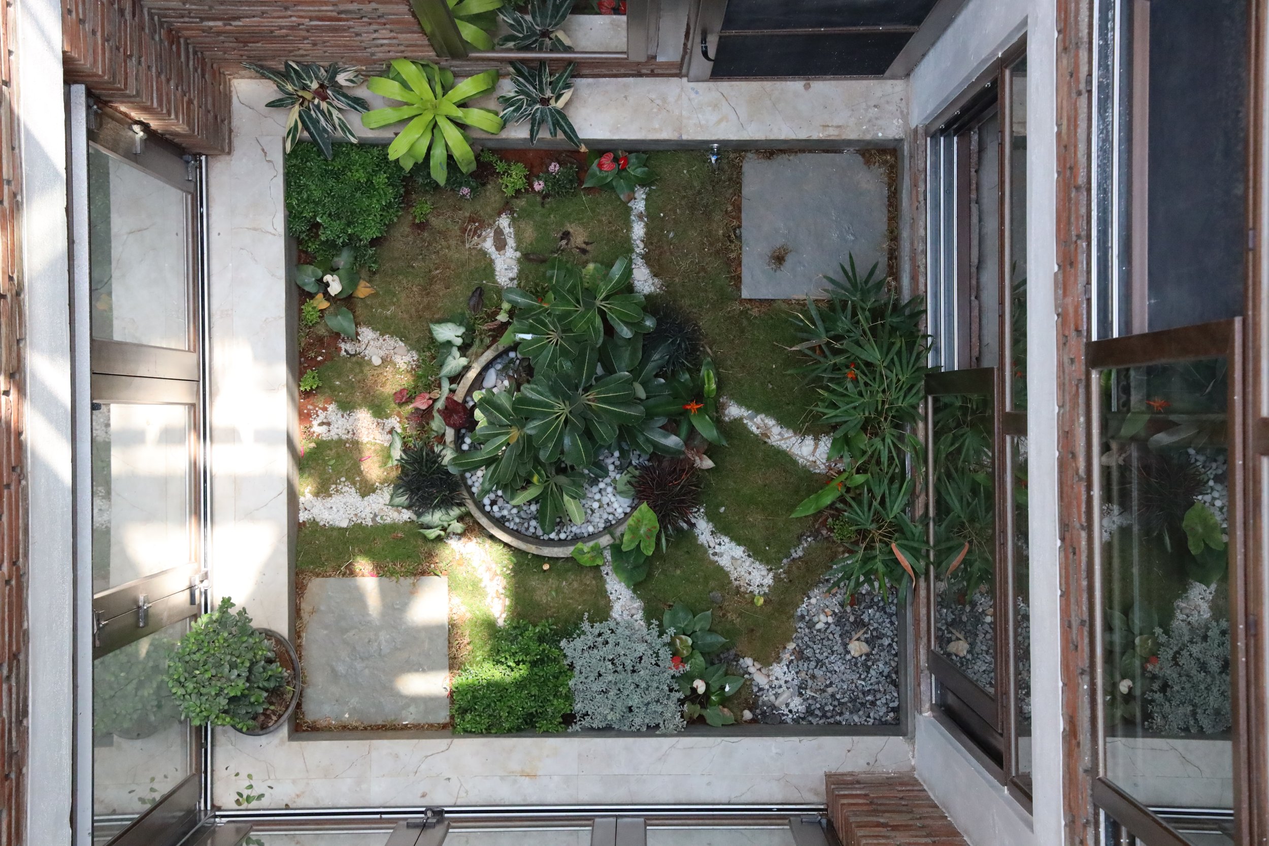 View of a small enclosed garden with various plants, a central fountain, rocks, and patches of moss, seen through glass doors and windows.