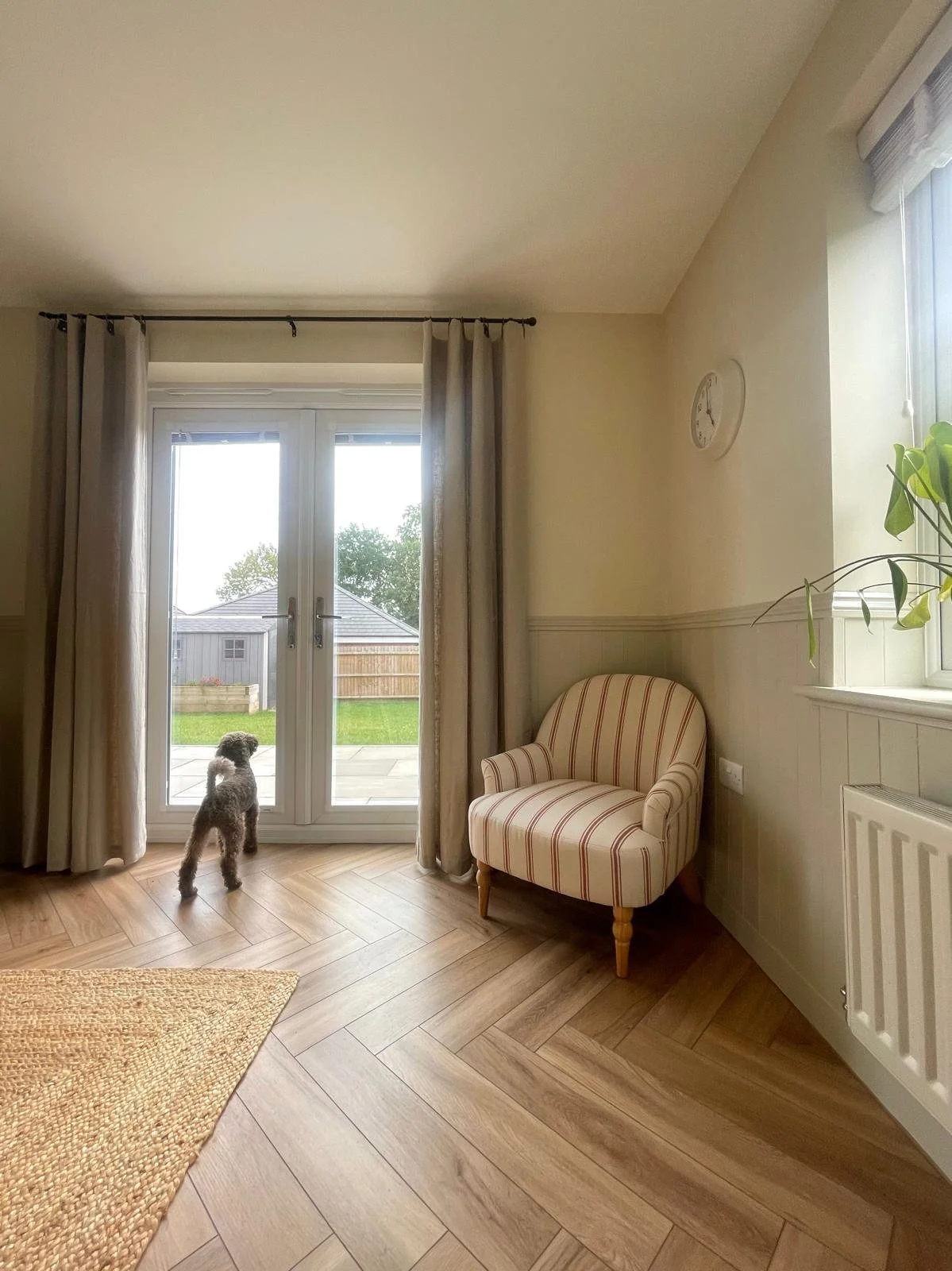 WhatsApp Image 2026-02-20 at 10.56.37.jpeg